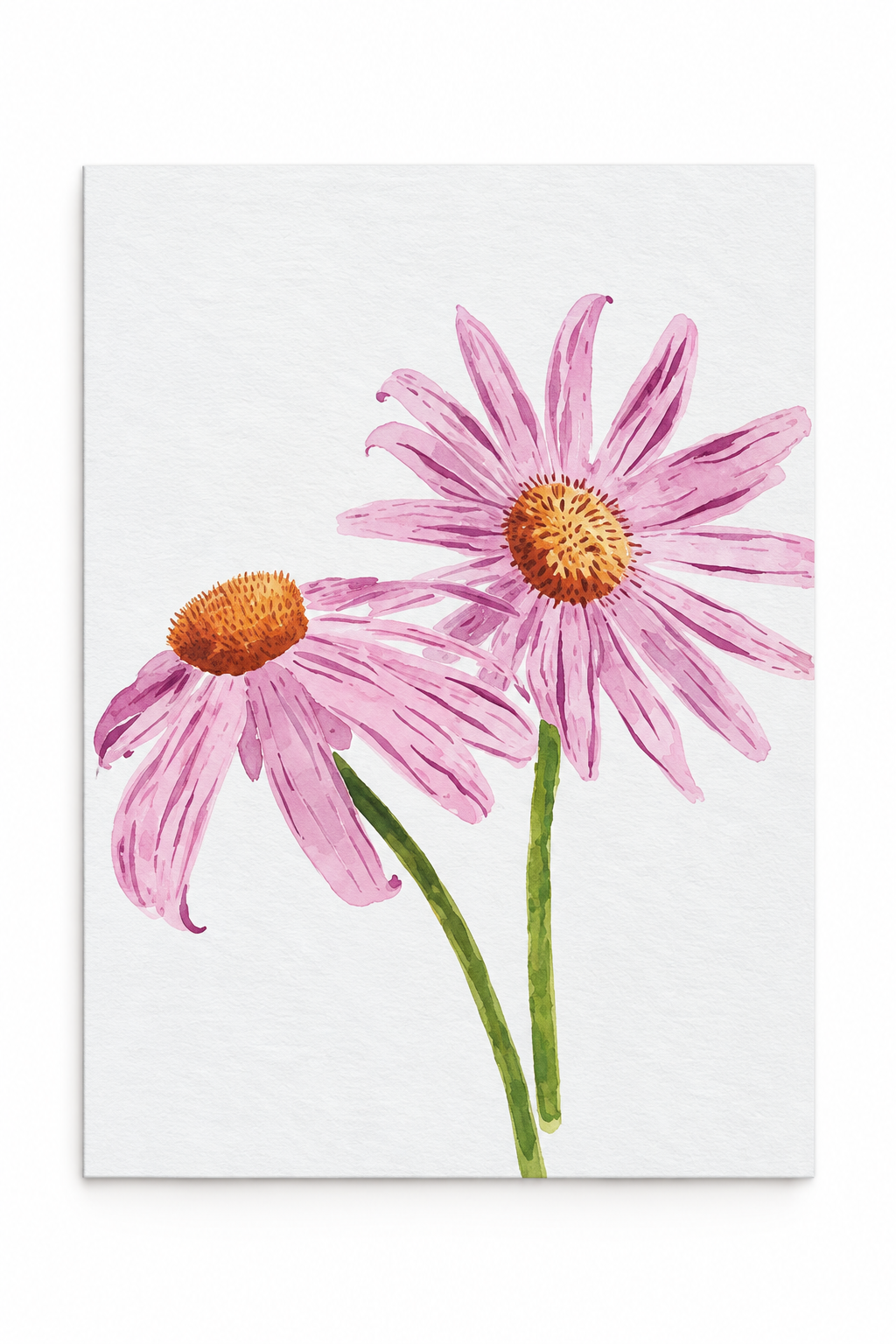 Pink Coneflower Duet Floral Watercolor Greeting Card – 5" x 7"