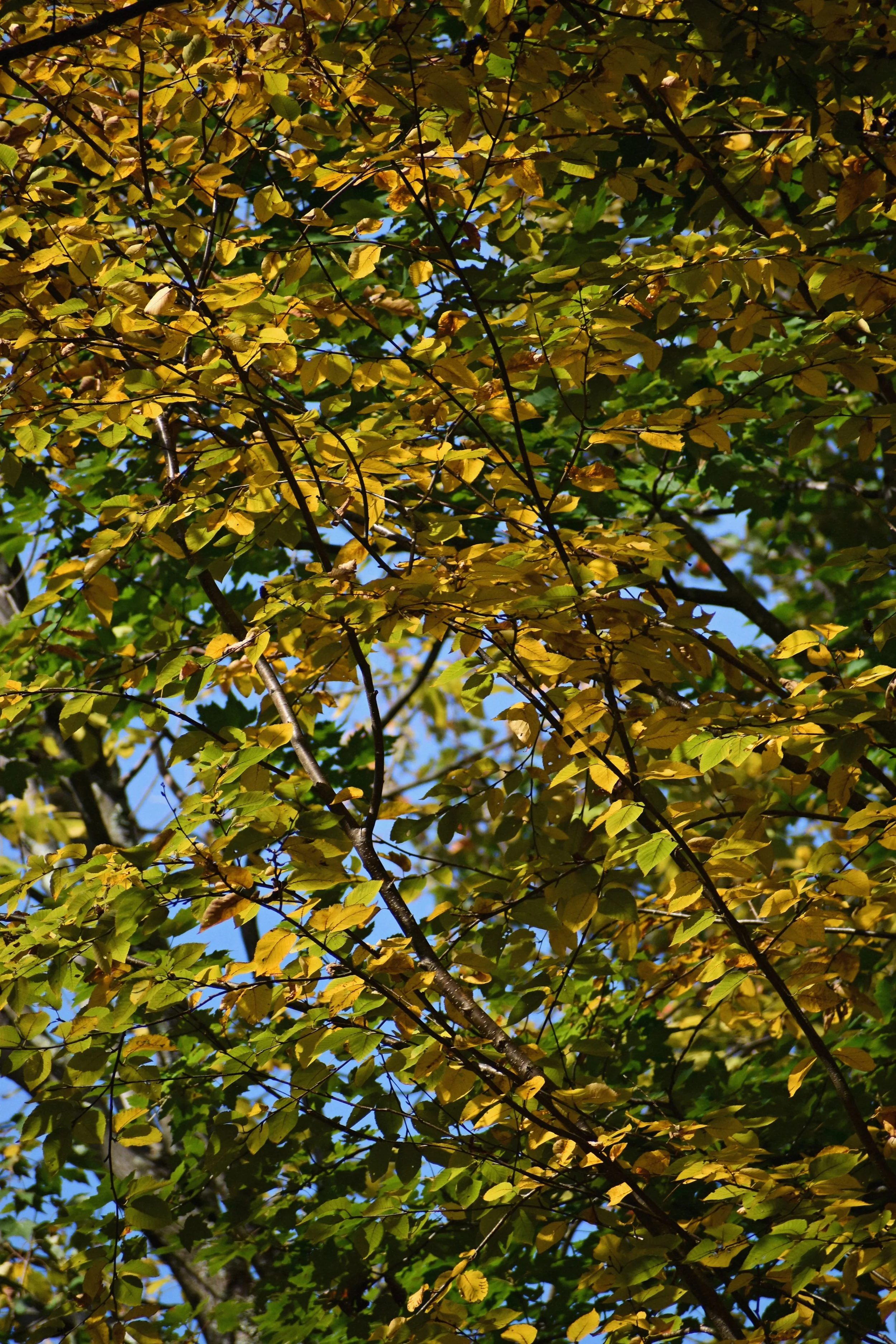 98B35575-9349-4D31-98B1-EB0DE656E1C7.jpeg
