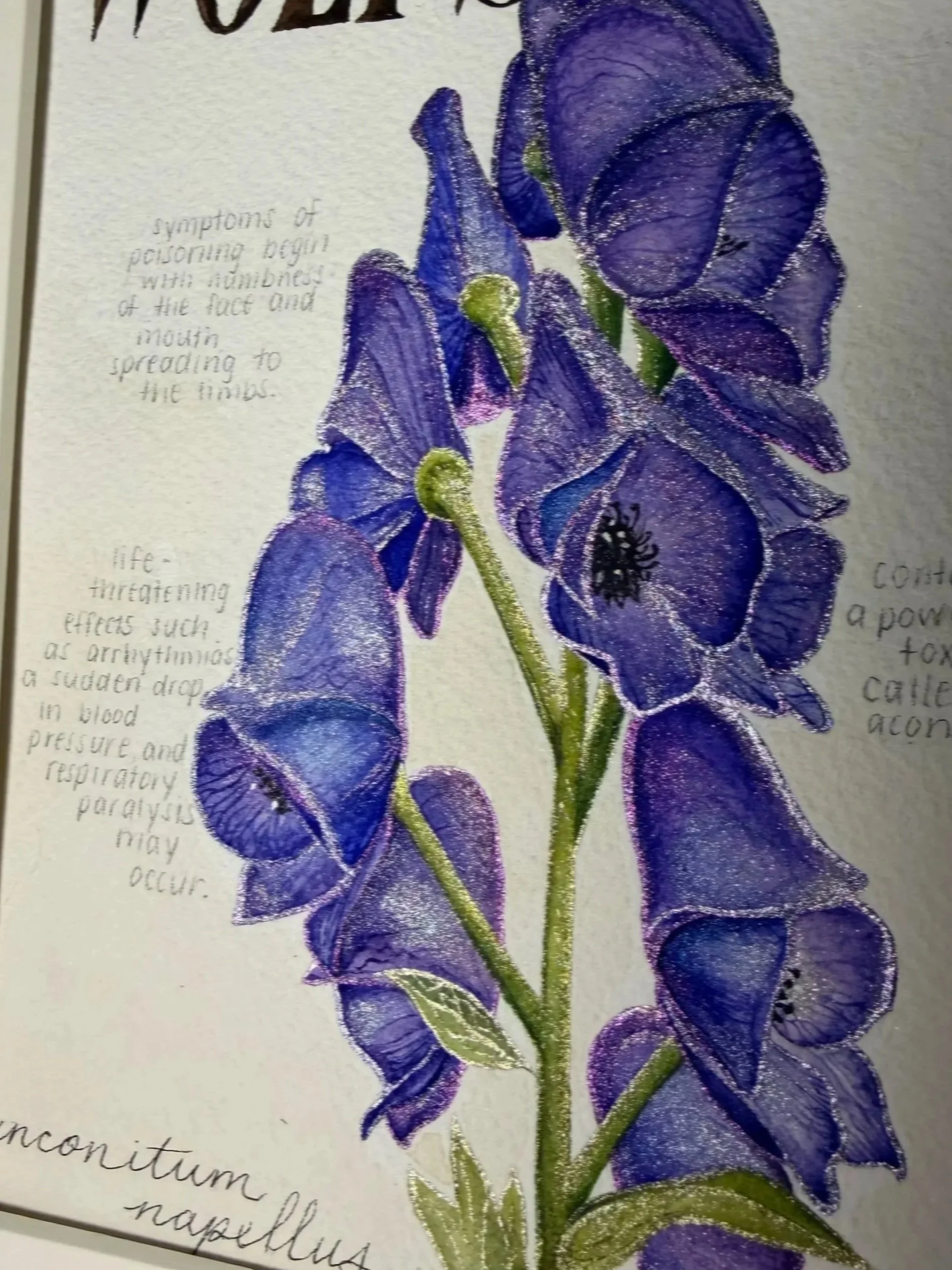 poisonous botanicals No. 03 wolfsbane