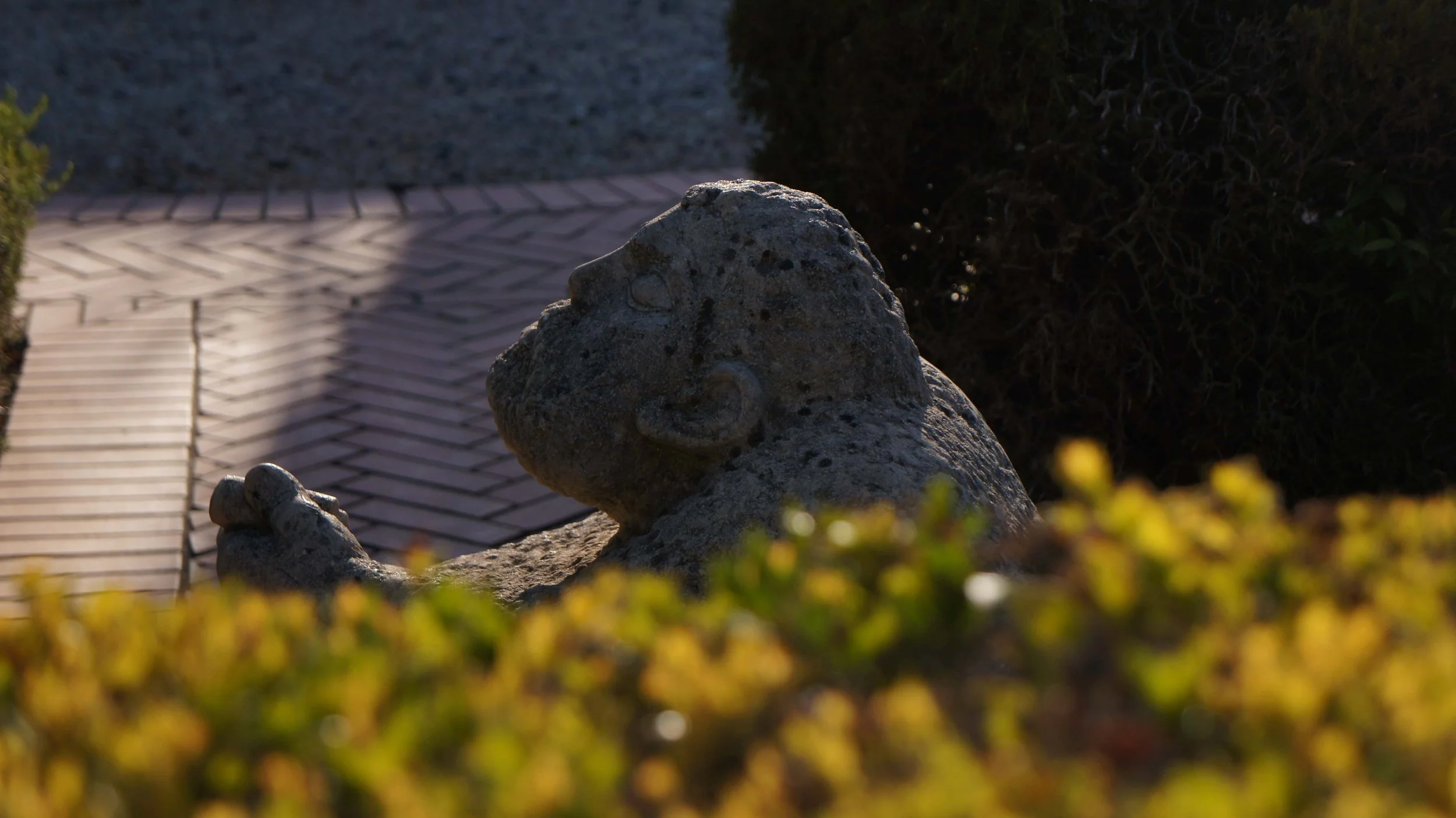 DSC09038.jpg