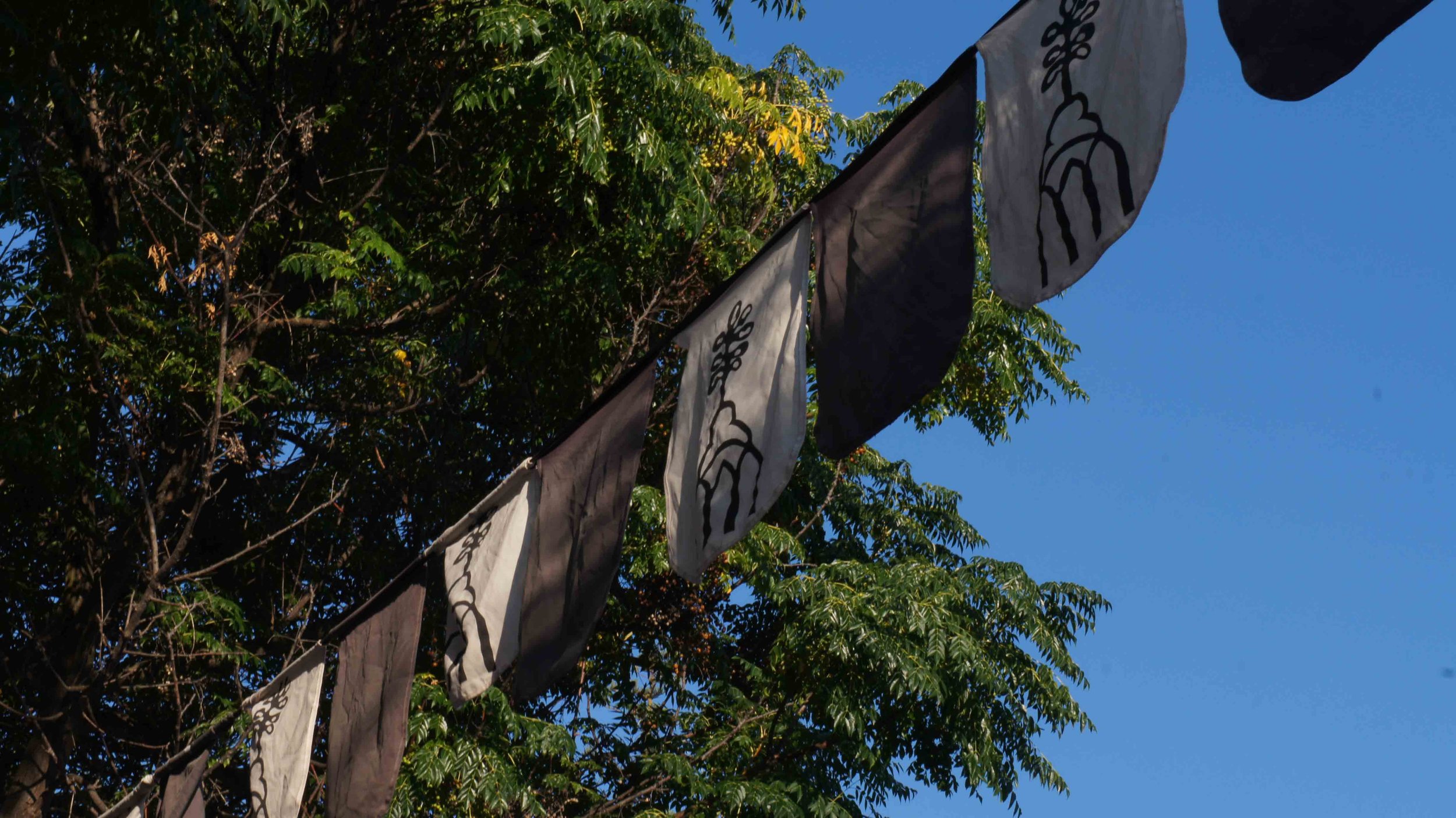 DSC09051.jpg