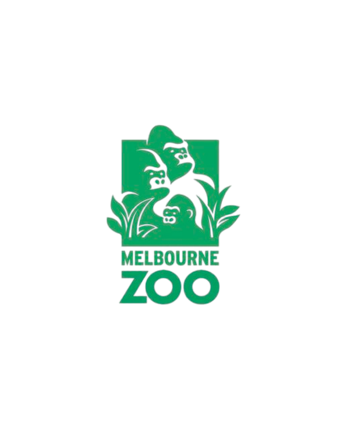 Melbourne Zoo  Ready Steady Jump.png