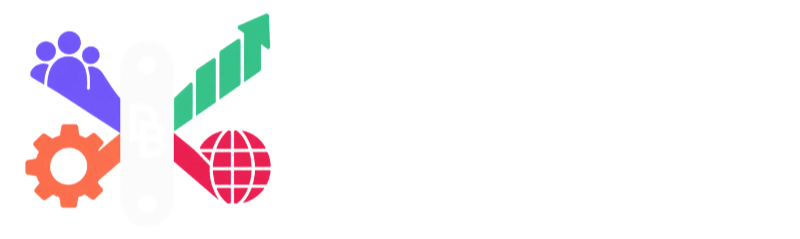 DAVID BRADY CONSULTANCY SERVICES