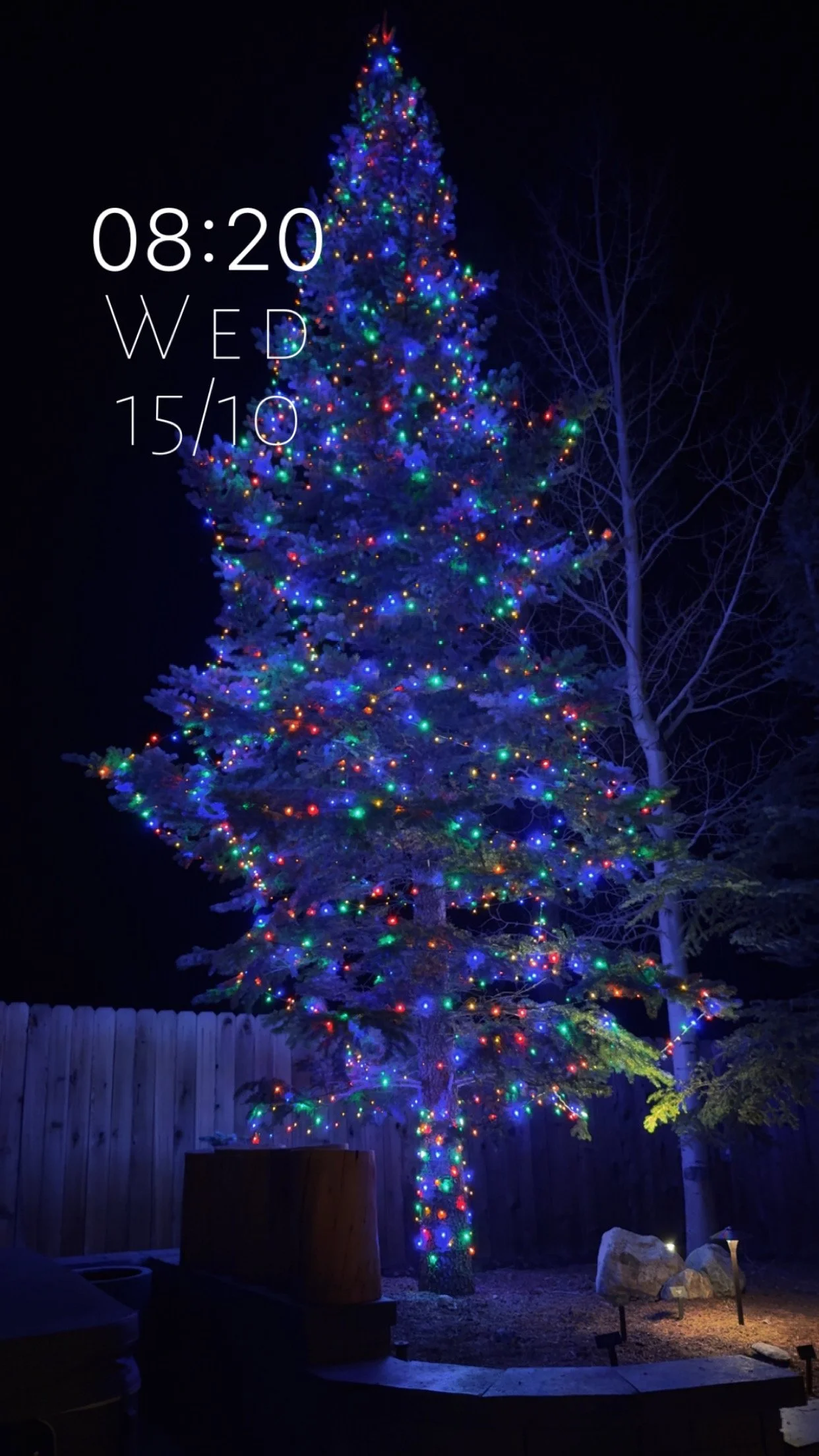 Reflect Window Cleaning Lighting up a large tree with a boom