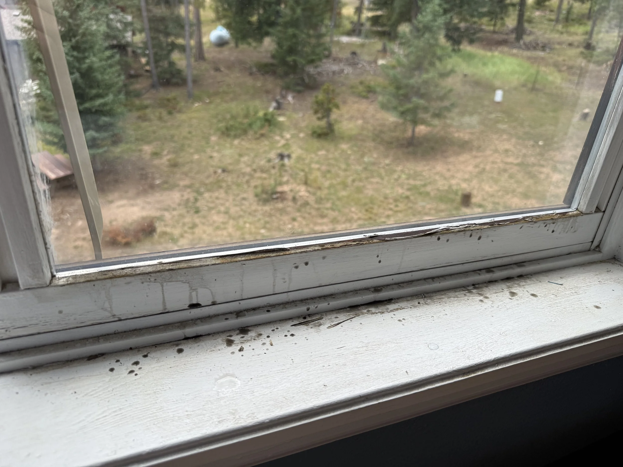 Residential window track before cleaning by RWC, showing dirt and debris buildup along the track and sill.