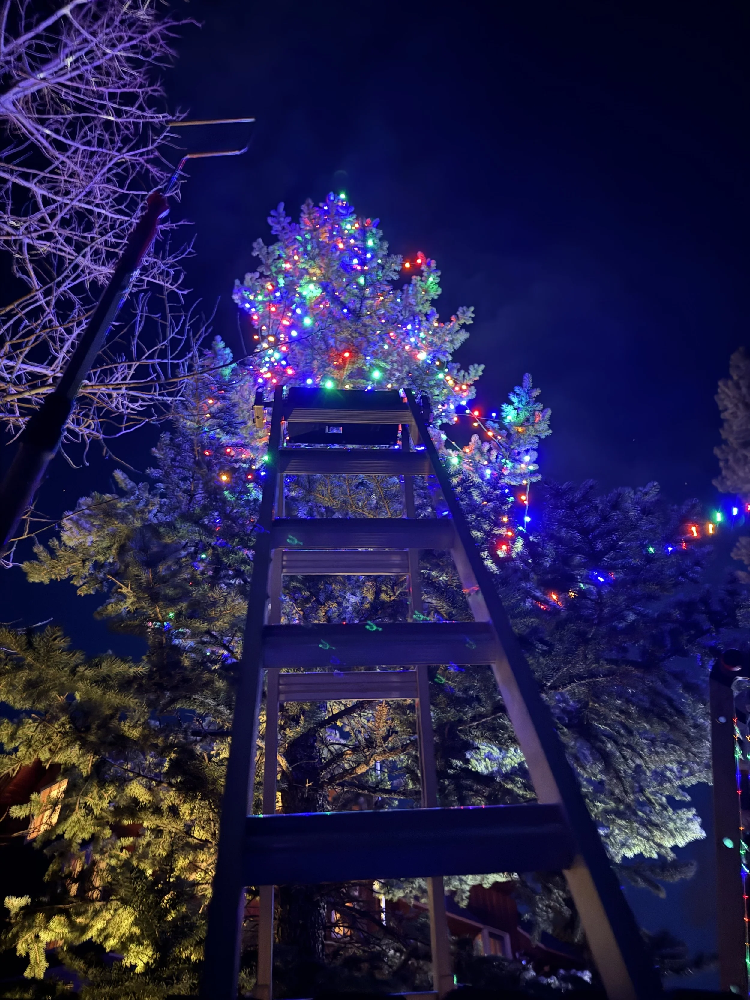 Professional holiday tree lighting by RWC featuring multicolor Christmas lights installed throughout a large outdoor tree.
