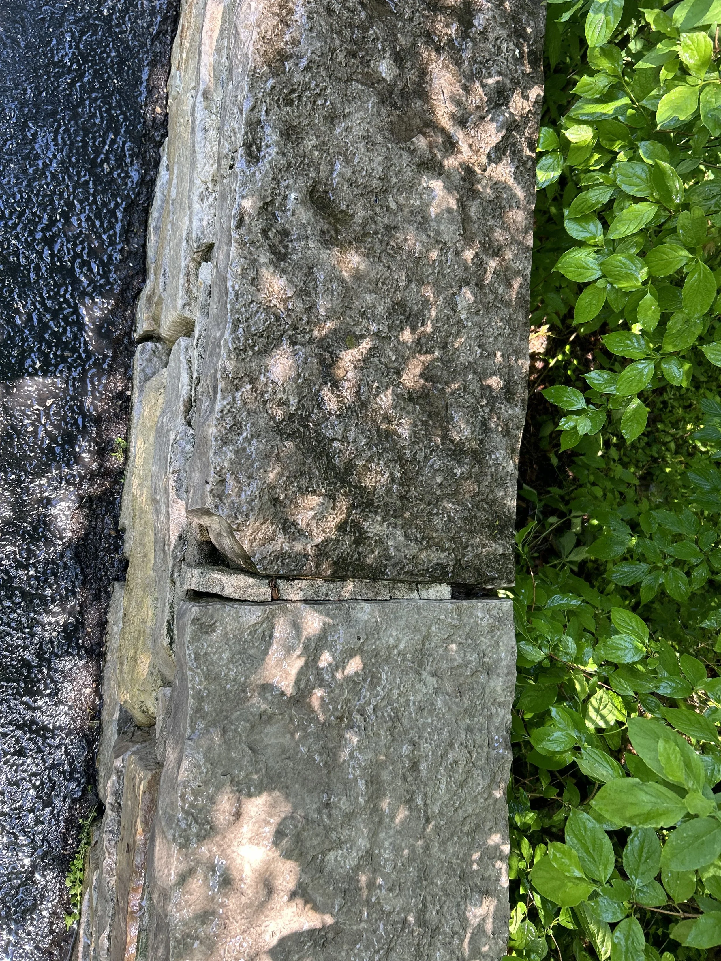 Stone surface before professional pressure washing by Reflect Window Cleaning (RWC), showing dirt and buildup along the exterior hardscape.