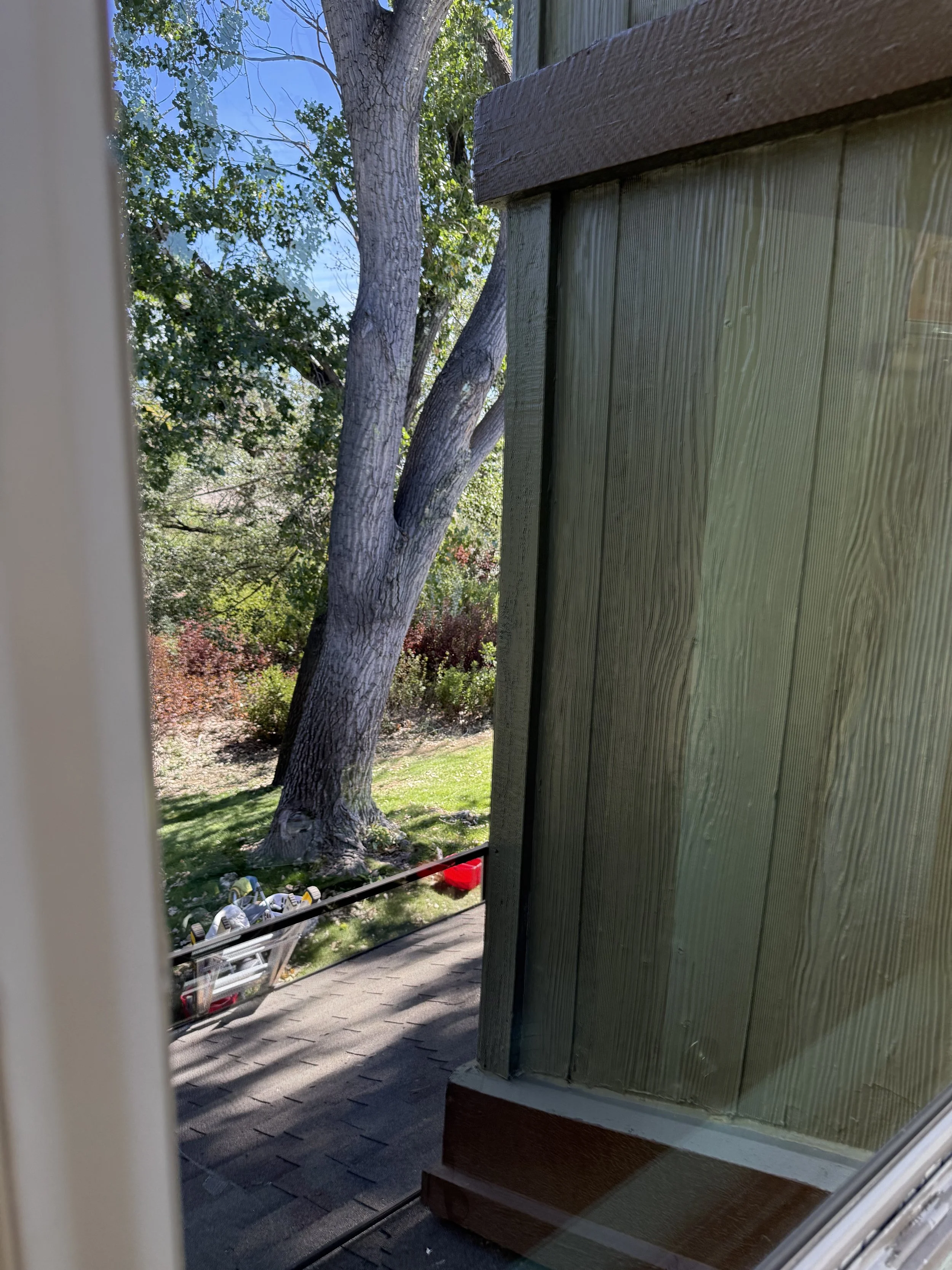 Clear residential window after professional window cleaning by Reflect Window Cleaning (RWC), providing a clean view of the outdoor property.