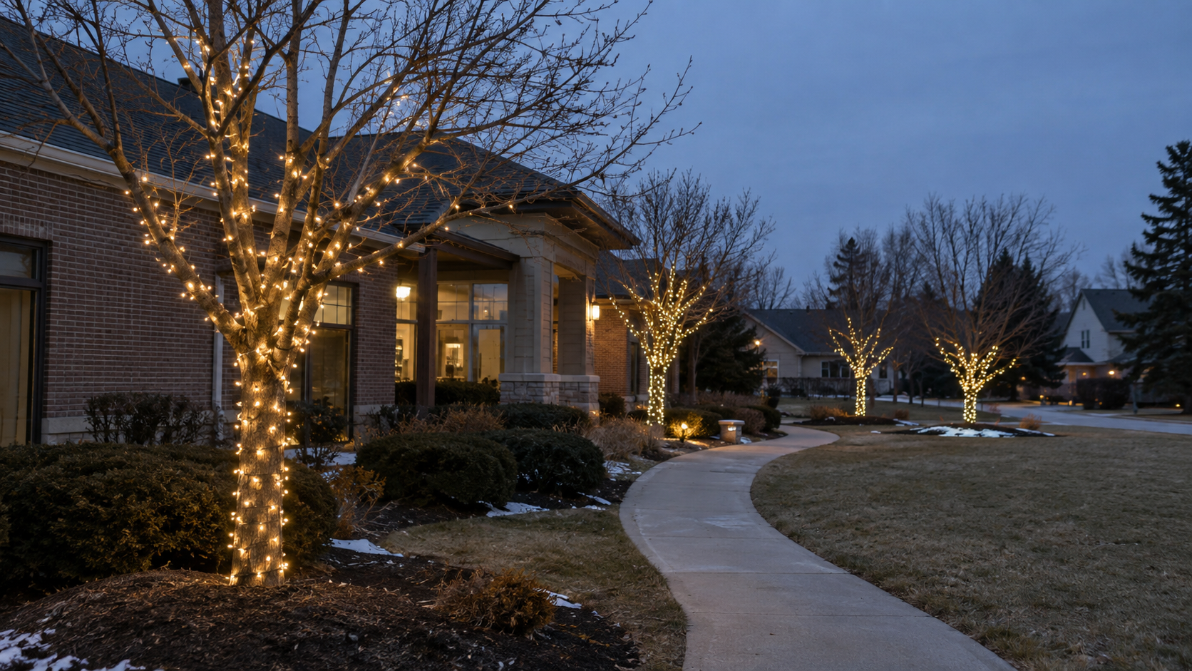 Reflect Window Cleaning (RWC) decorating/lighting up a Commercial landscape for the holidays