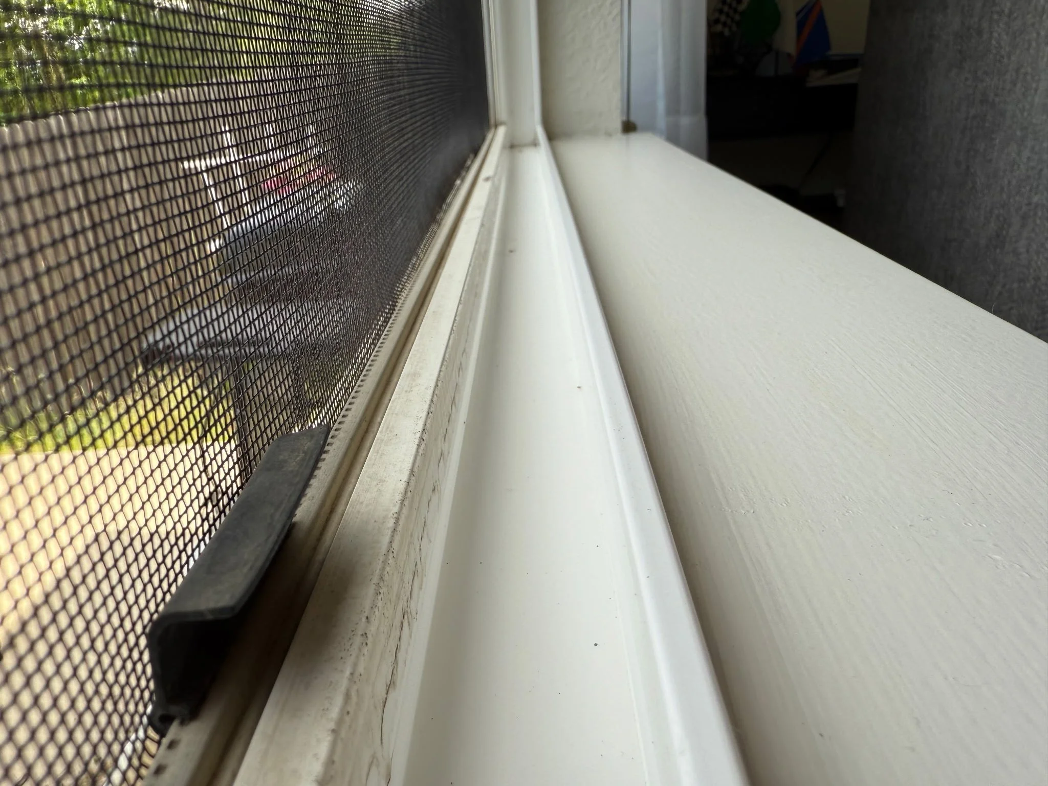 Residential window screen and sill during an Reflect Window Cleaning (RWC) screen, track, and sill cleaning service.