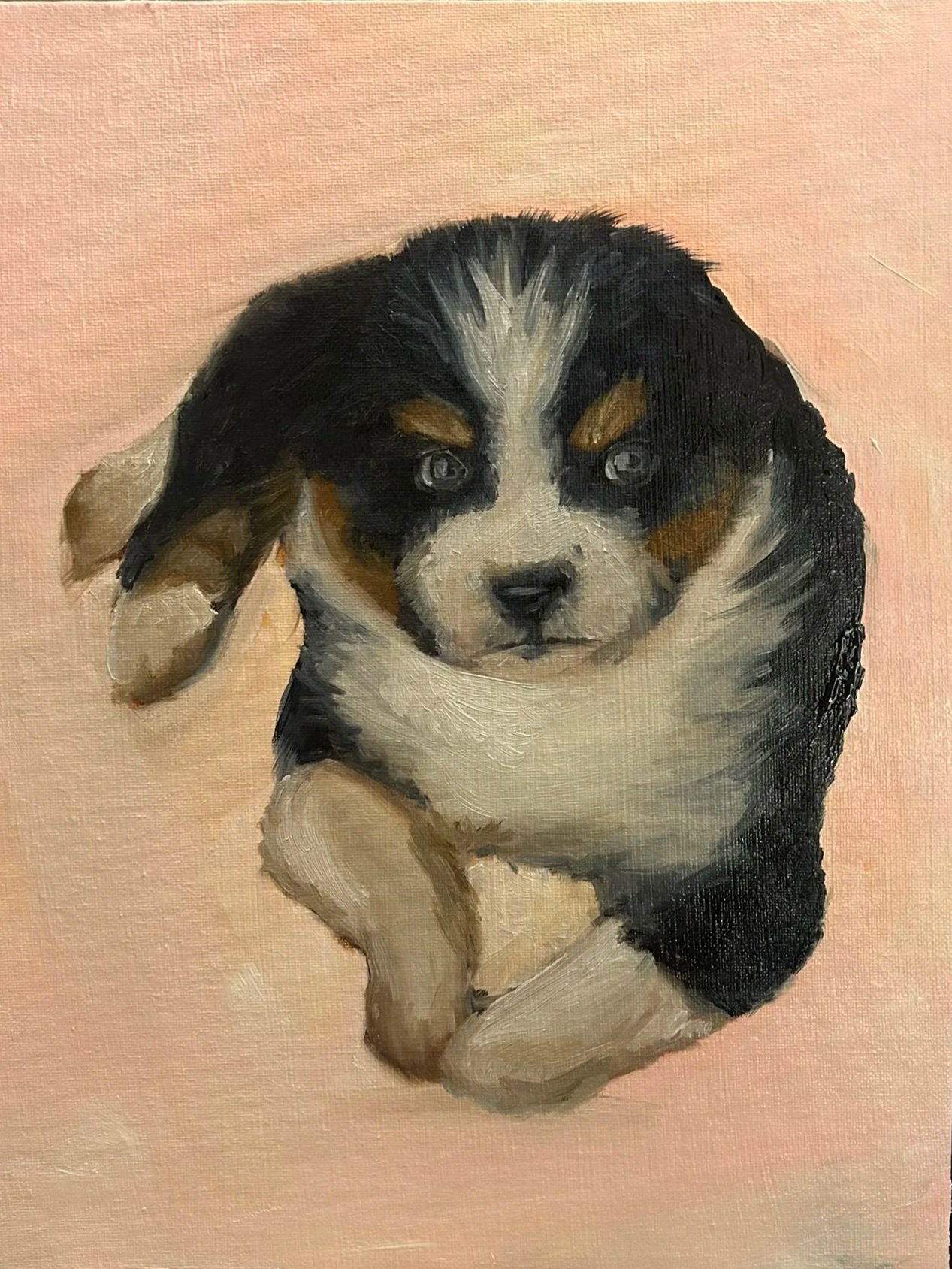 Painting of a cute tricolor puppy with floppy ears against a pink background.