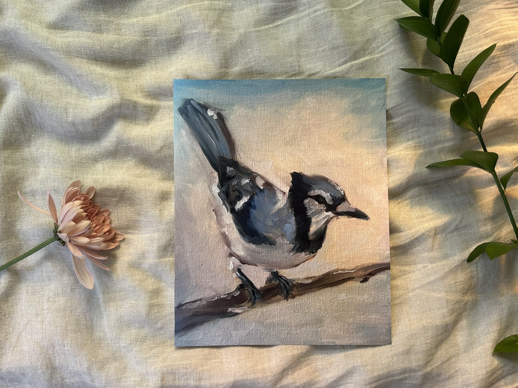 Blue Jay - Limited Edition Giclée Print (8x10)