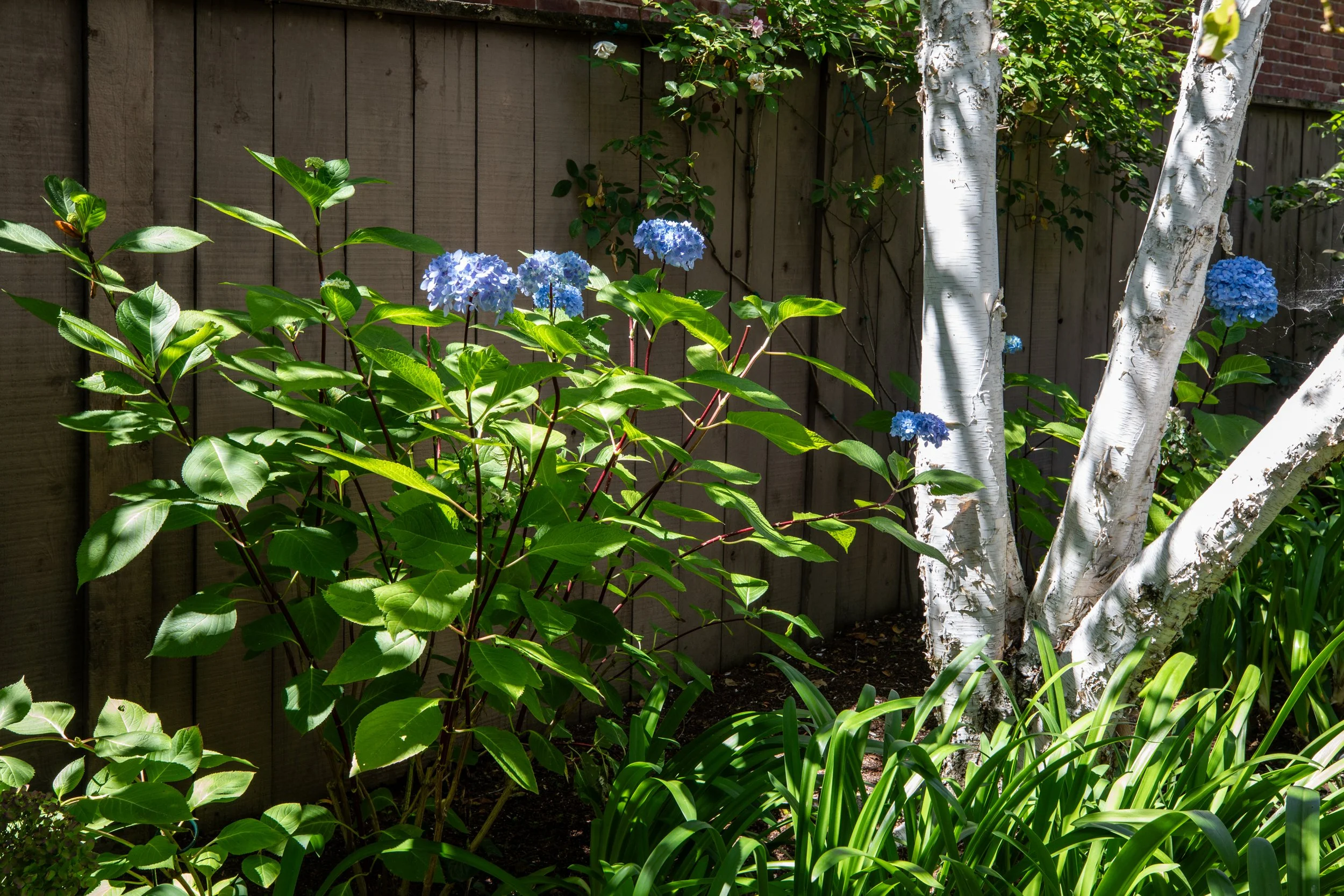44-Tennyson_Matt_Anello-7428-MLS.jpg