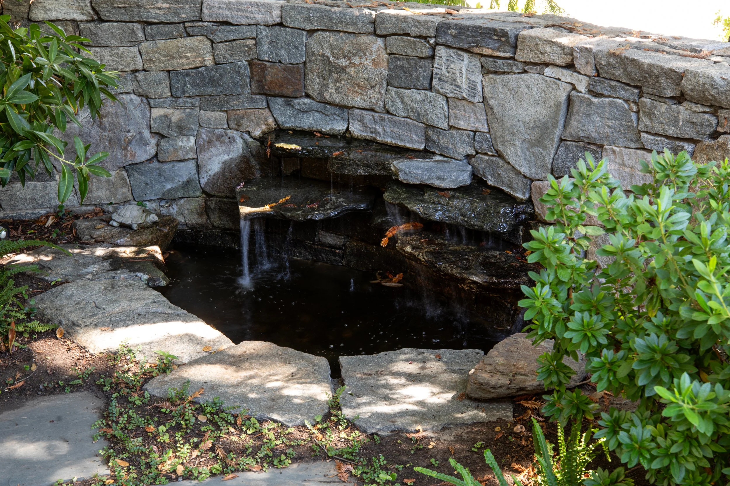 5-Tennyson_Matt_Anello-9718-MLS.jpg
