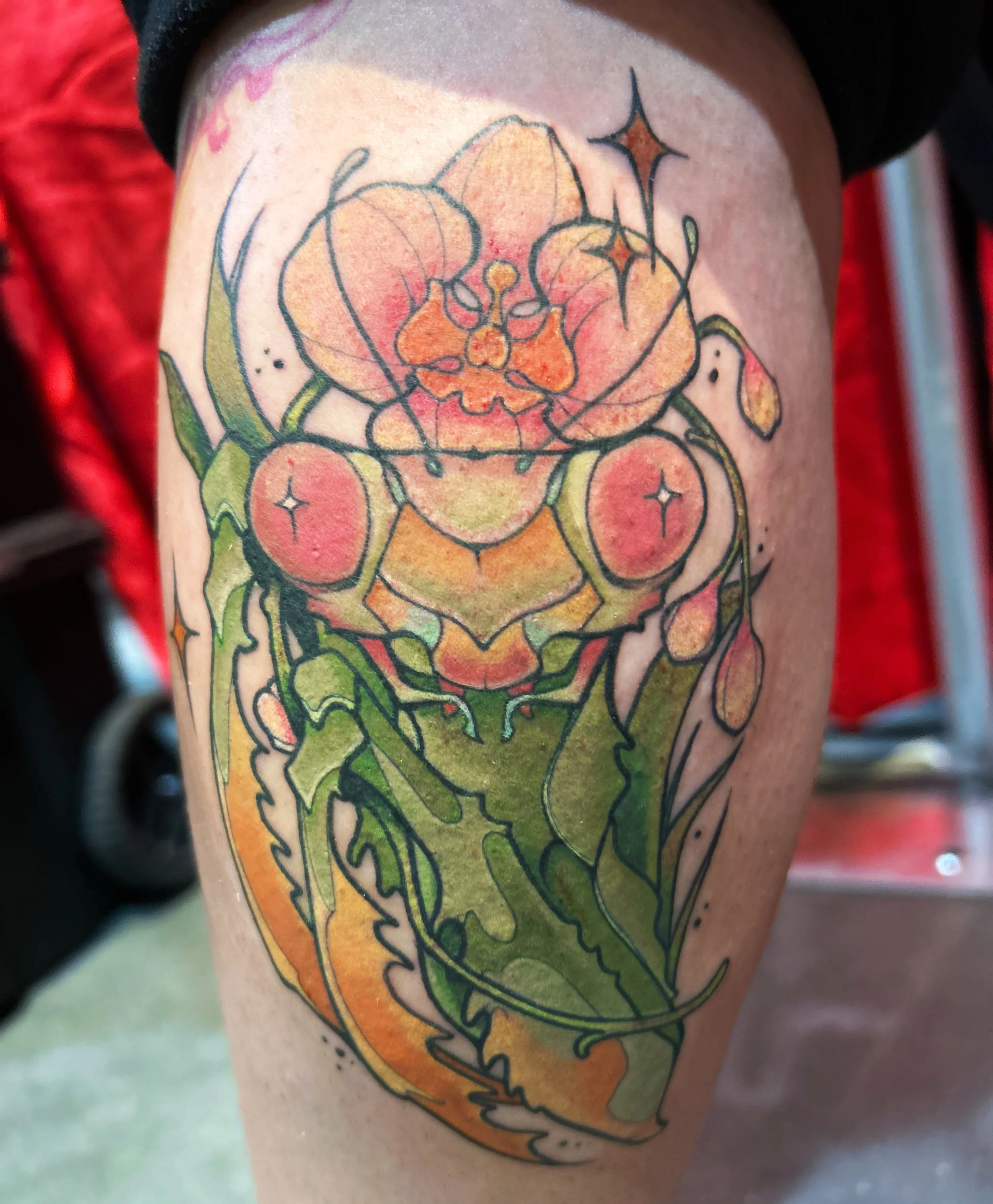 7953B965-70C8-4FBF-9882-D5AC1A79A79A.JPG