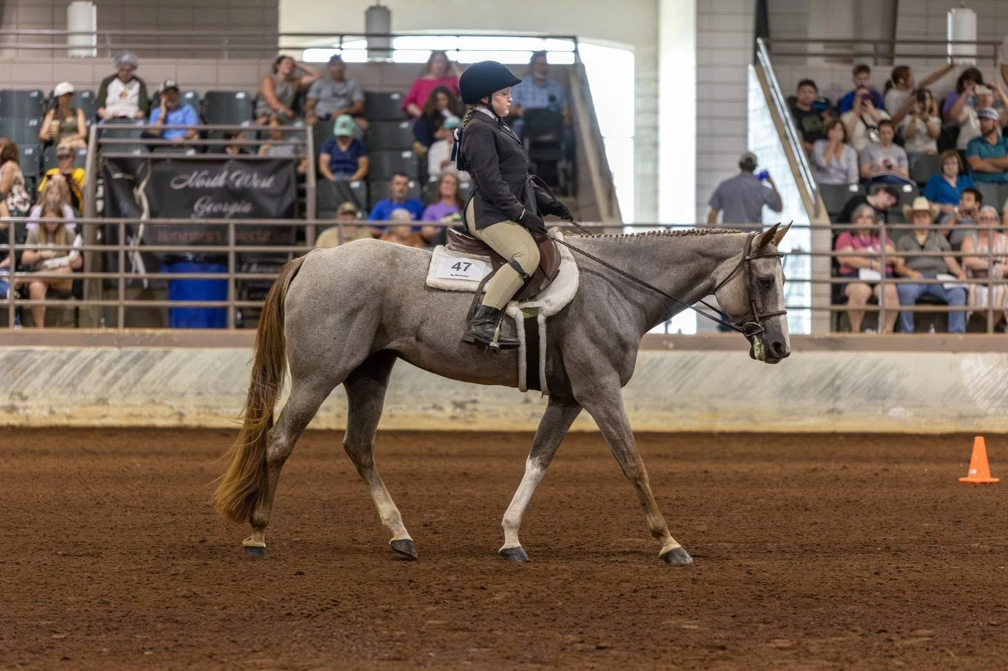 A girl riding a gray horse inside an indoor riding arena during a horse riding competition, with spectators watching from the stands.