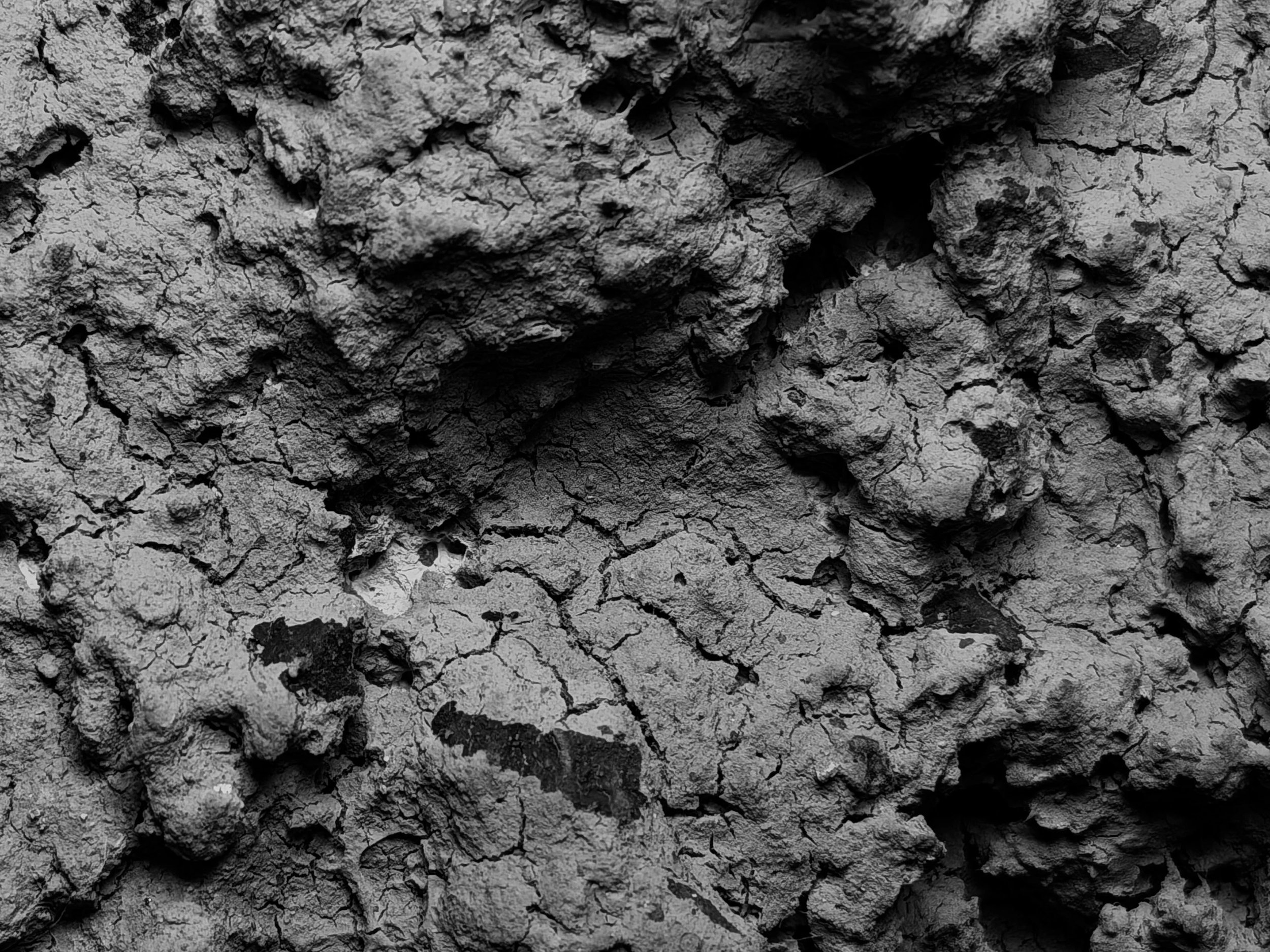 Process image of Andzela Andze
