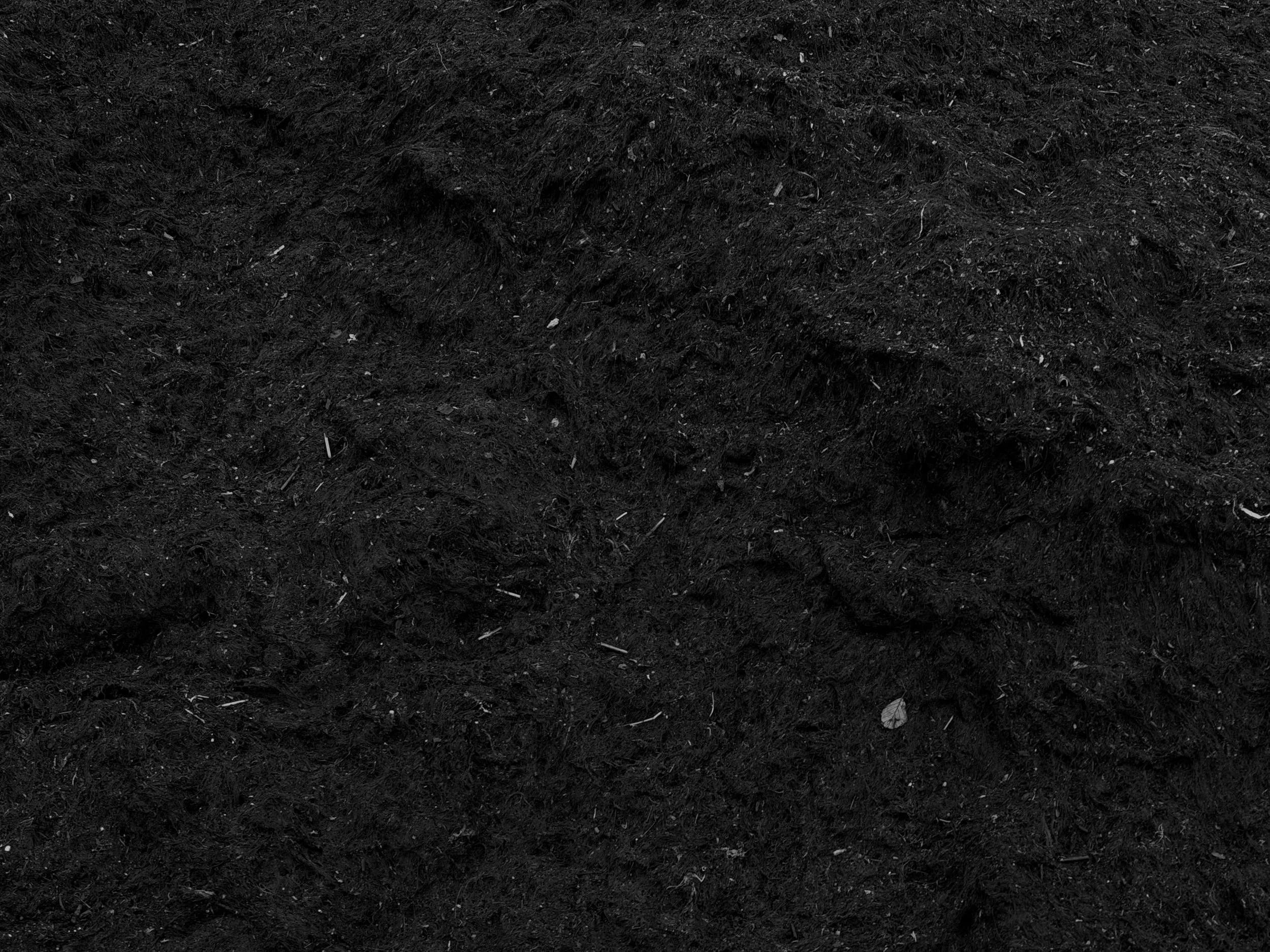 Close-up of dark, moist soil with small bits of organic matter and tiny rocks visible.