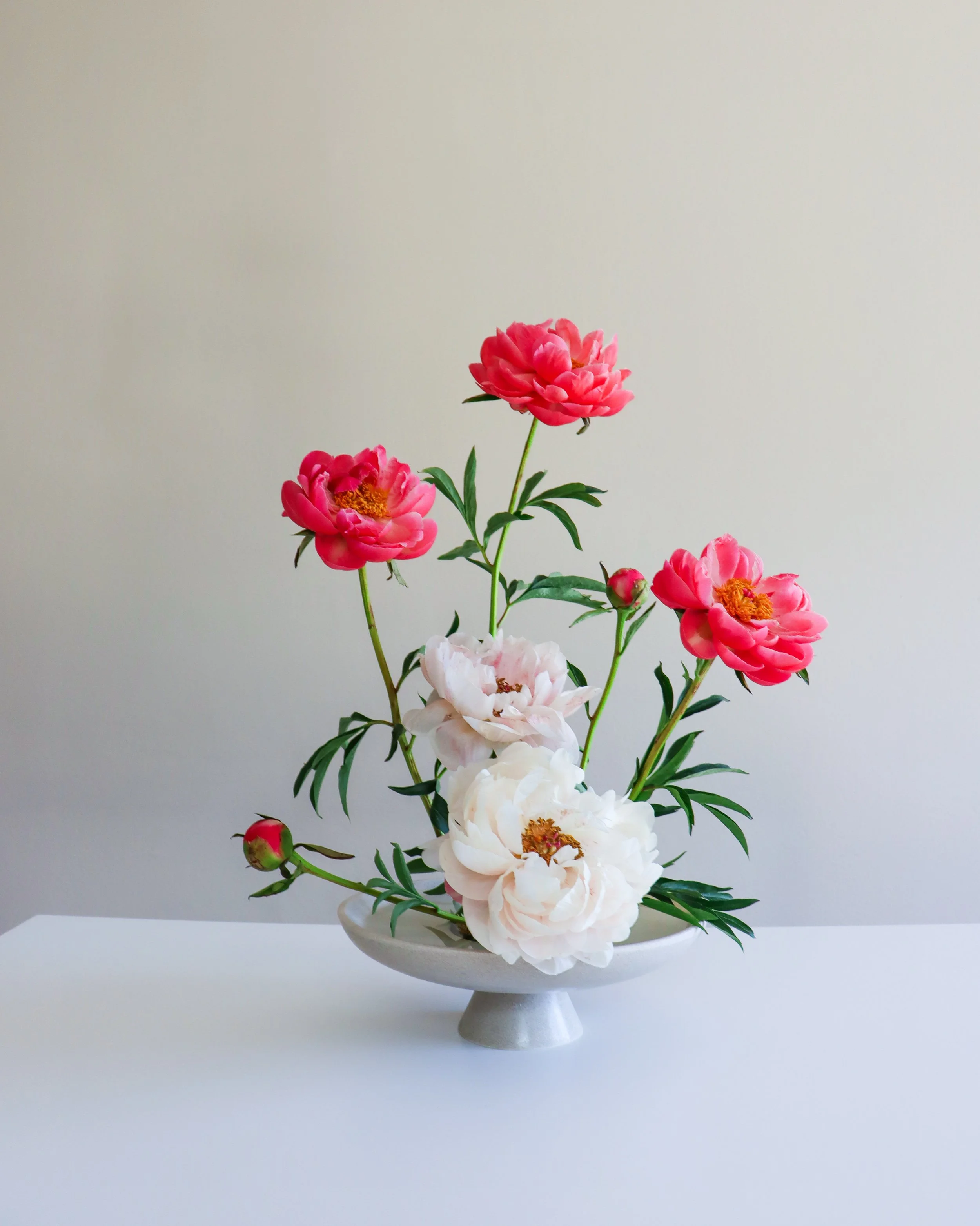 A white ceramic vase holds a bouquet of pink and white peony flowers with green leaves, set against a plain gray background.