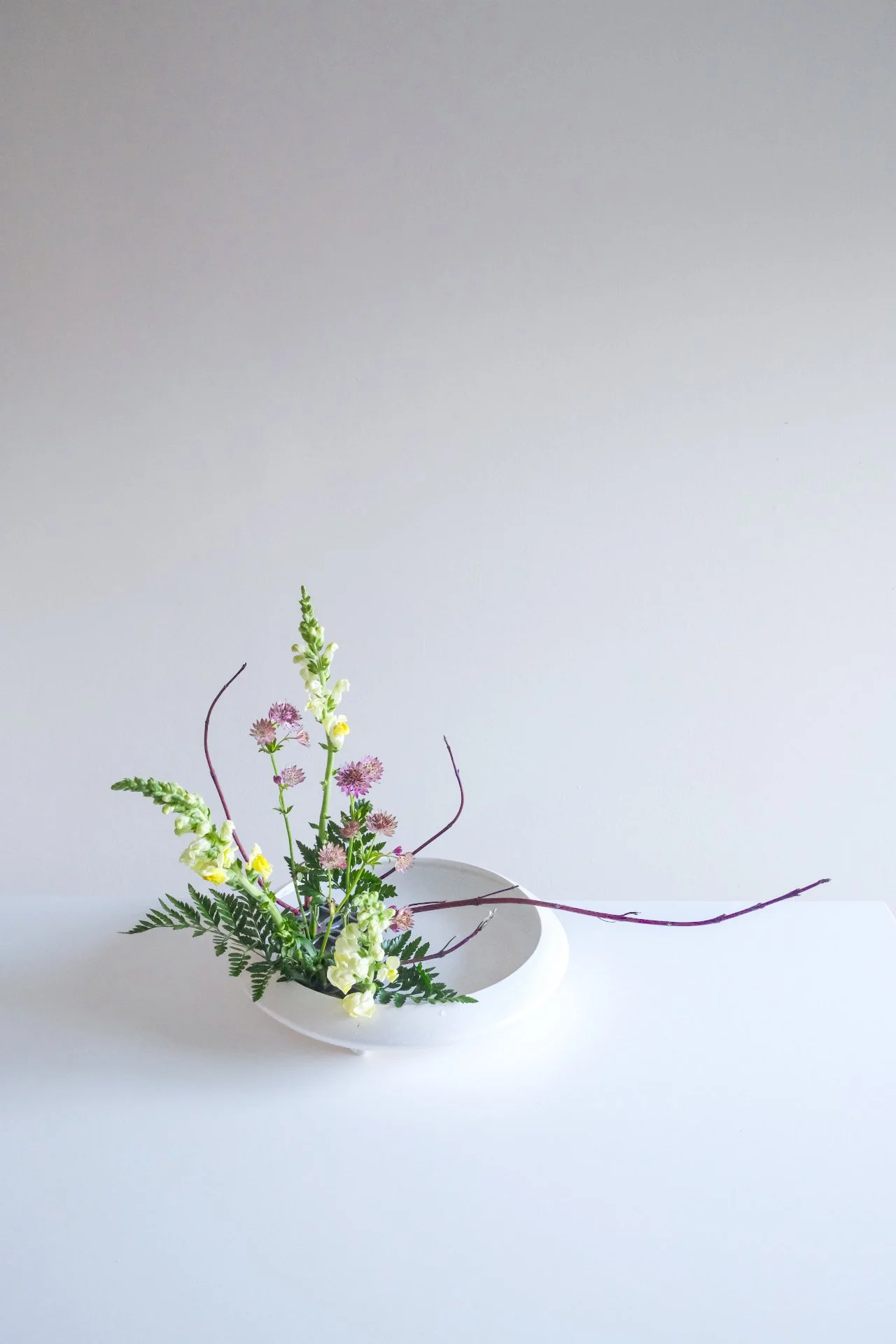 A minimalist floral arrangement in a white, oval-shaped vase with various green and purple foliage and flowers against a white background.