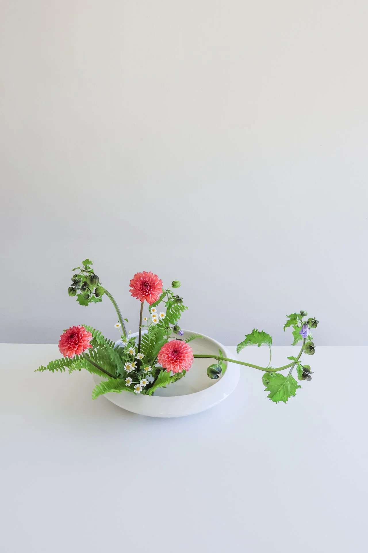 A white oval vase holding a floral arrangement with pink dahlias, small white daisies, and fern leaves on a white surface with a plain white background.