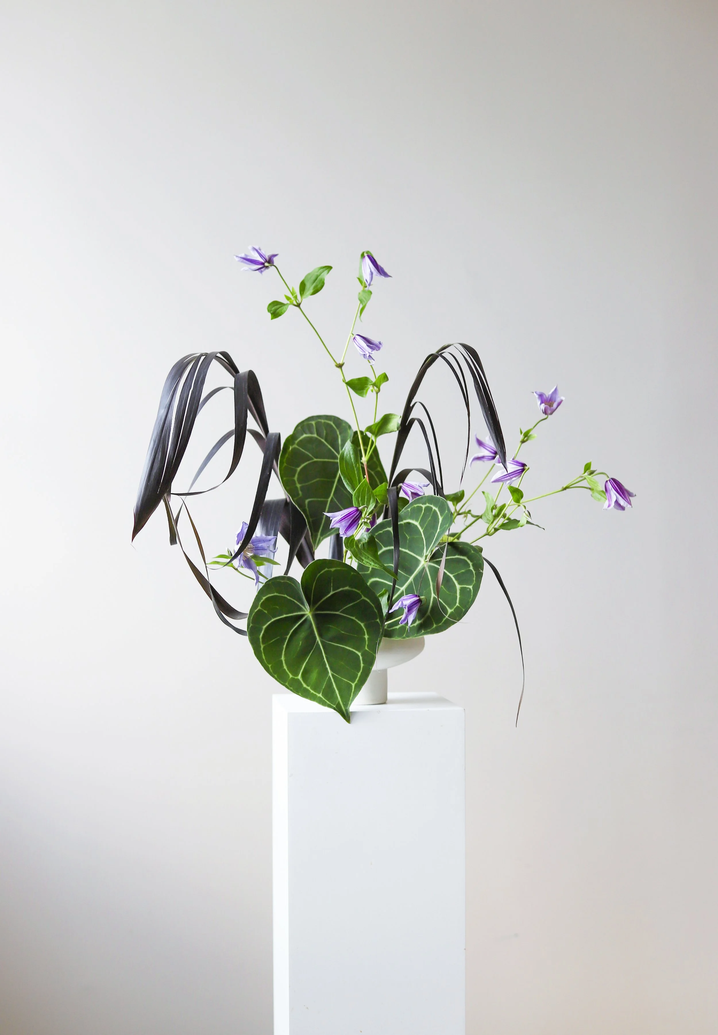 Houseplant with purple flowers and large green leaves in a white vase on a white pedestal against a plain white background.
