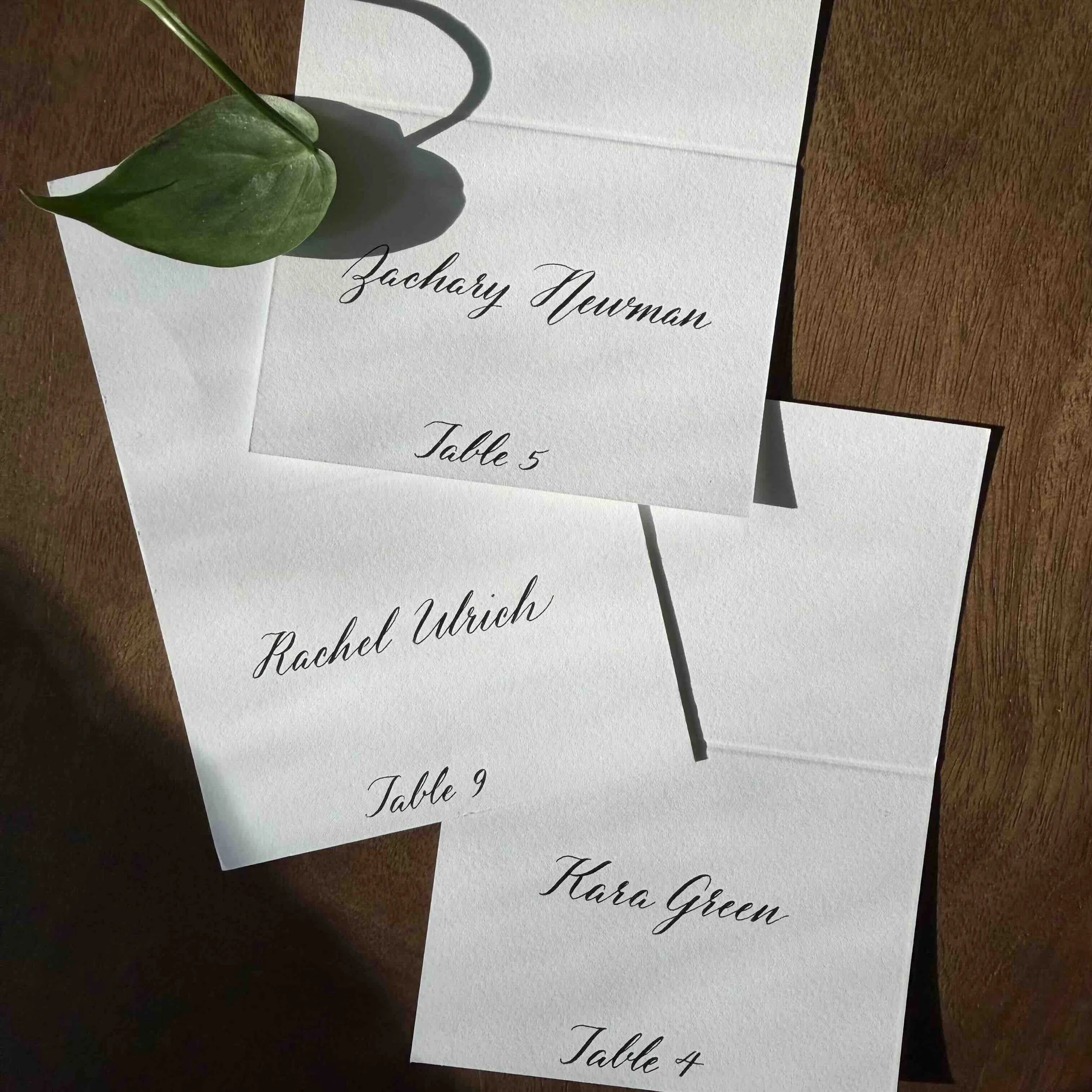 Wedding escort cards in modern script calligraphy