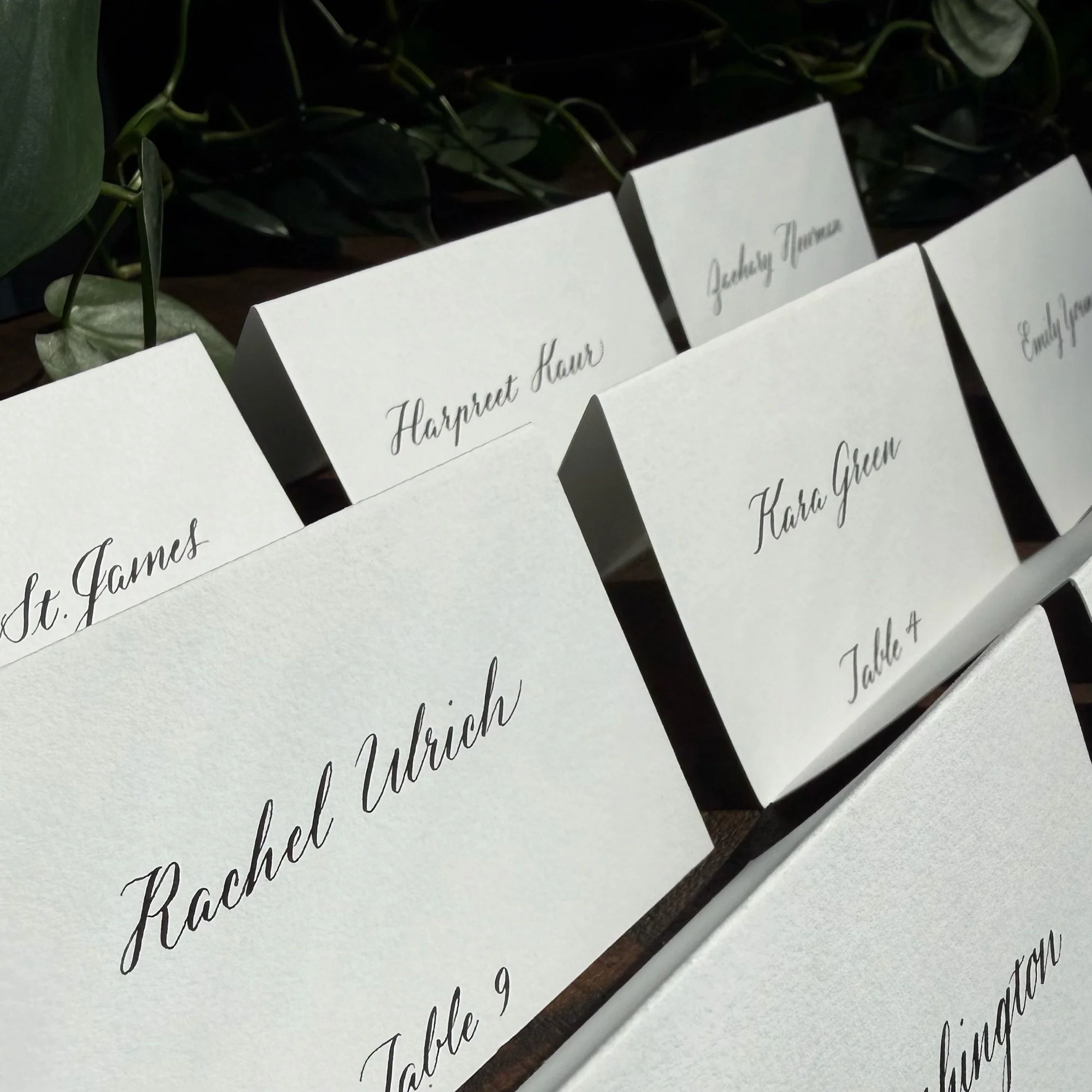 Tented escort cards for wedding in modern script calligraphy