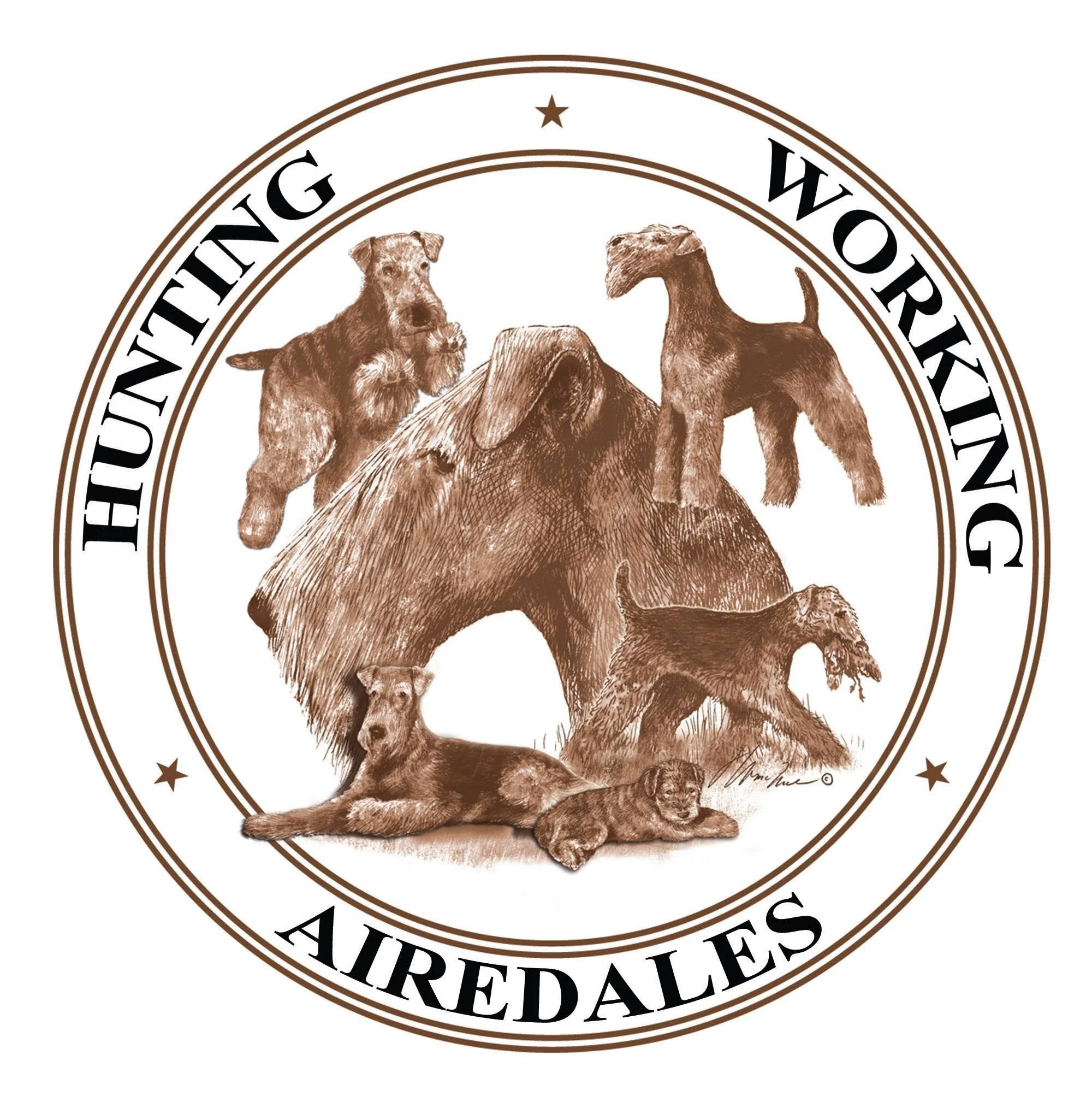 Illustration of a brown bear, a wolf, a dog, an elephant, and a lion inside a circular emblem with the words 'Everything Works' and 'All Types Allowed'.
