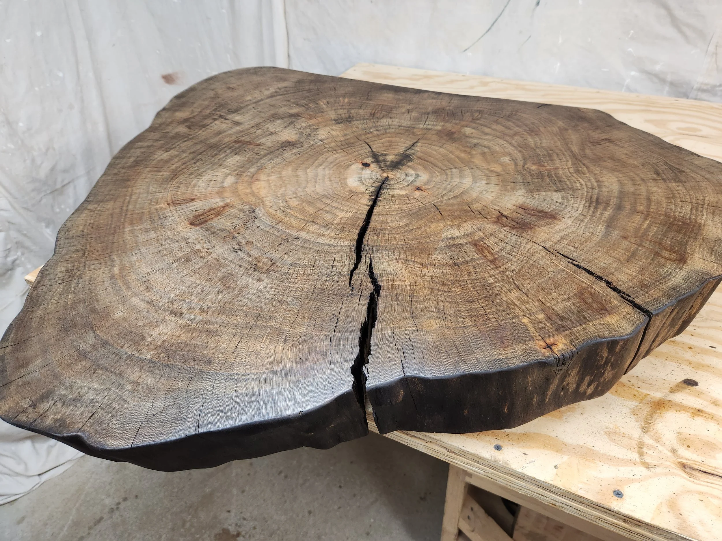 Close-up of a wooden slab with visible growth rings and a large crack running from the center to the edge, placed on a workbench.