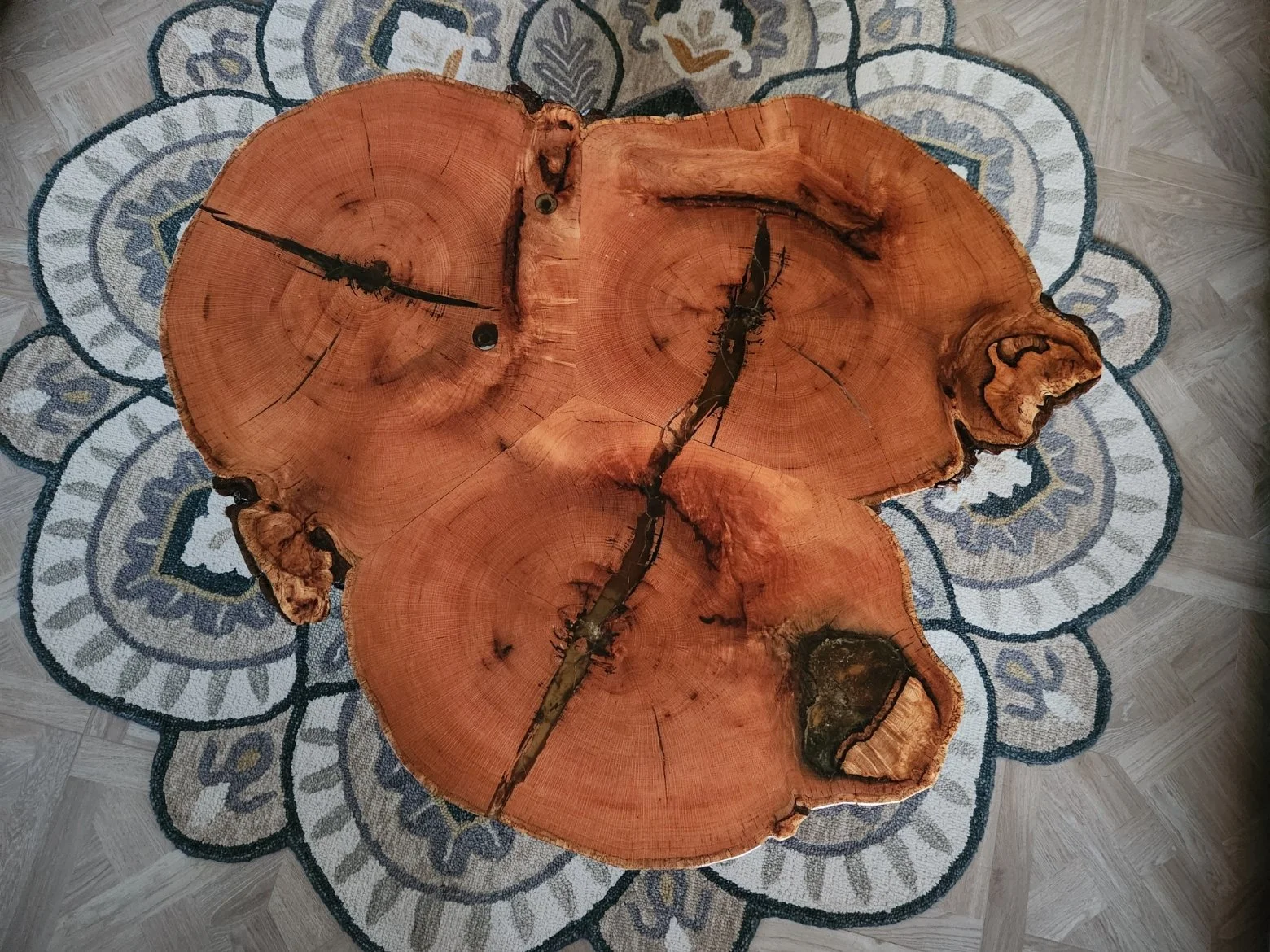 A large cross-section of a tree trunk with visible growth rings and cracks, placed on a decorative blue and white patterned rug on a wooden floor.