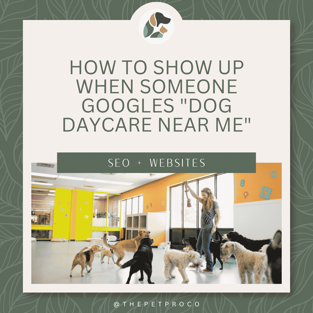 How to Show Up When Someone Googles "Dog Daycare Near Me"