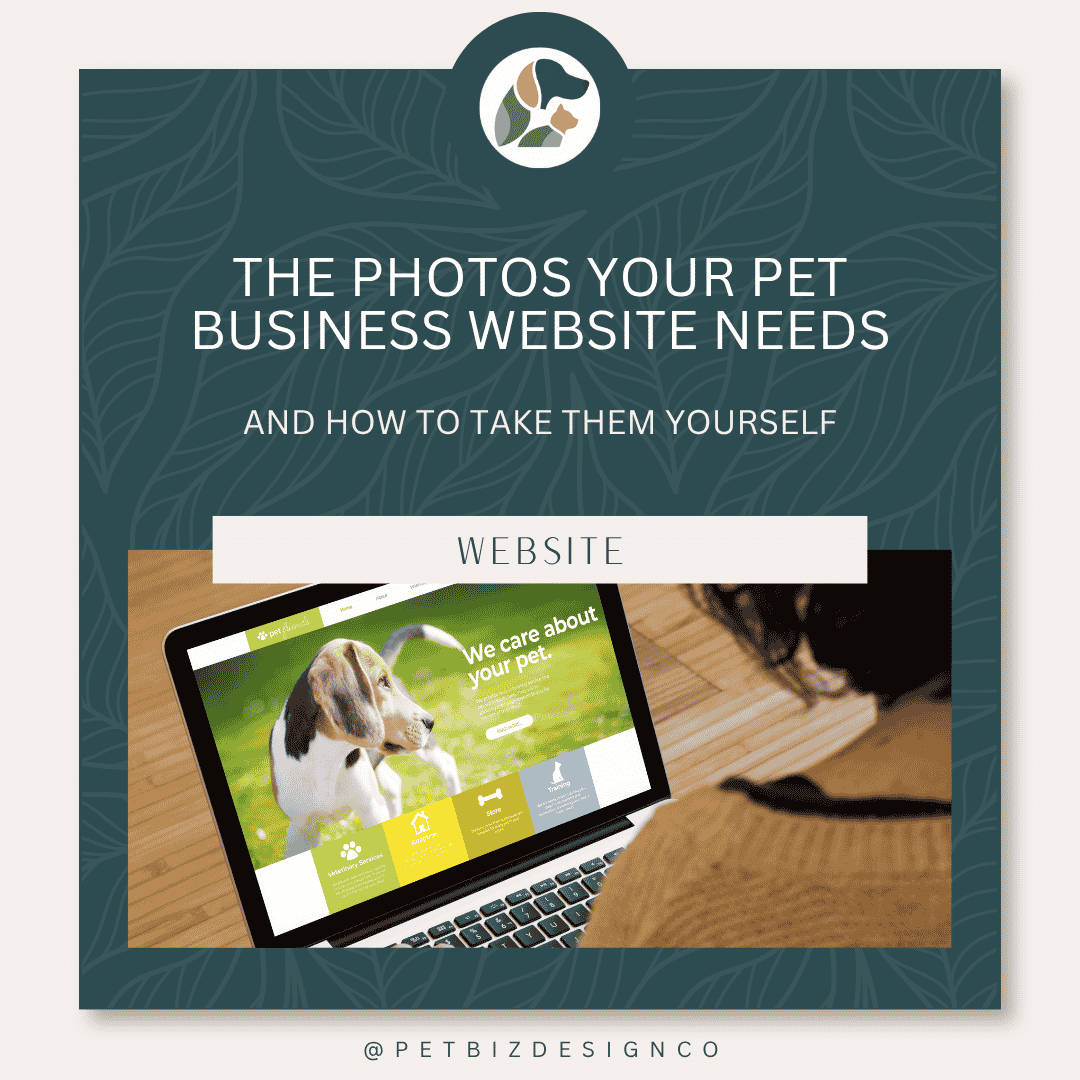 The Photos Your Pet Business Website Needs (And How to Take Them Yourself)