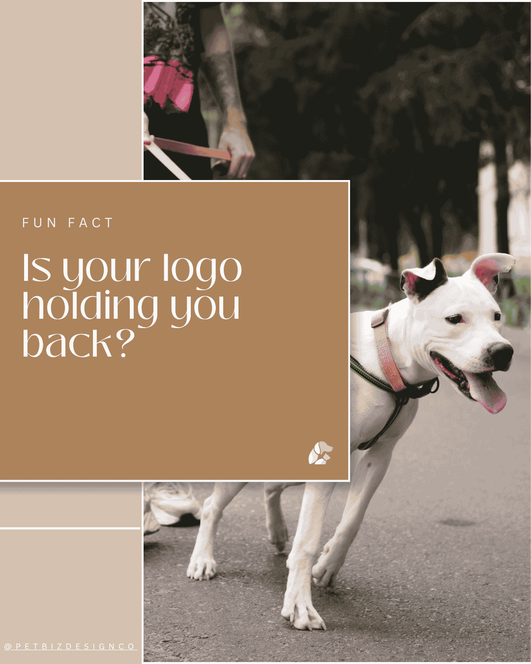DWOD  IG Templates (7).png
