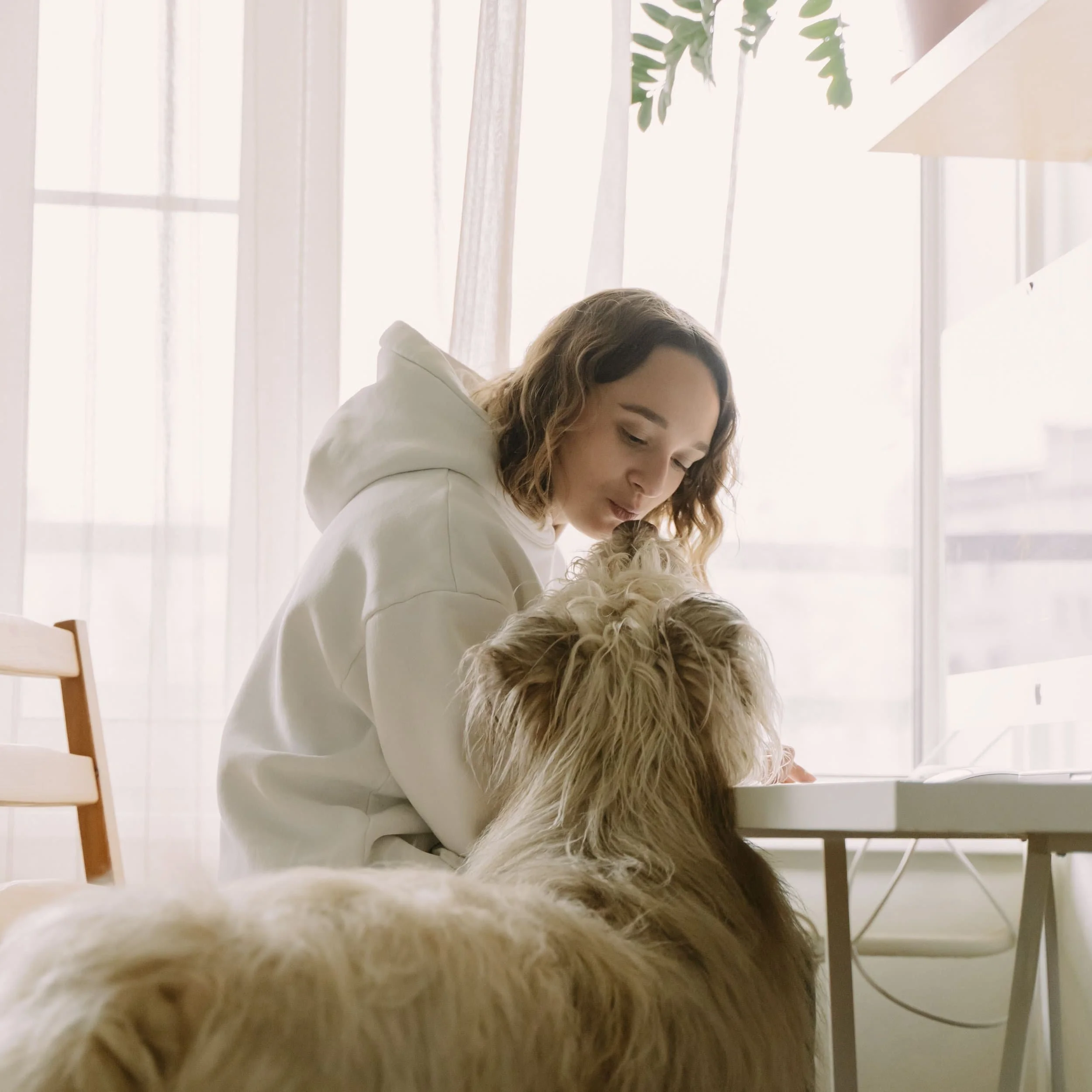 A woman with light brown, curly hair sitting at a table with a small, fluffy dog with tan fur in the foreground. The scene is bright, with sheer white curtains and green plants in the background.