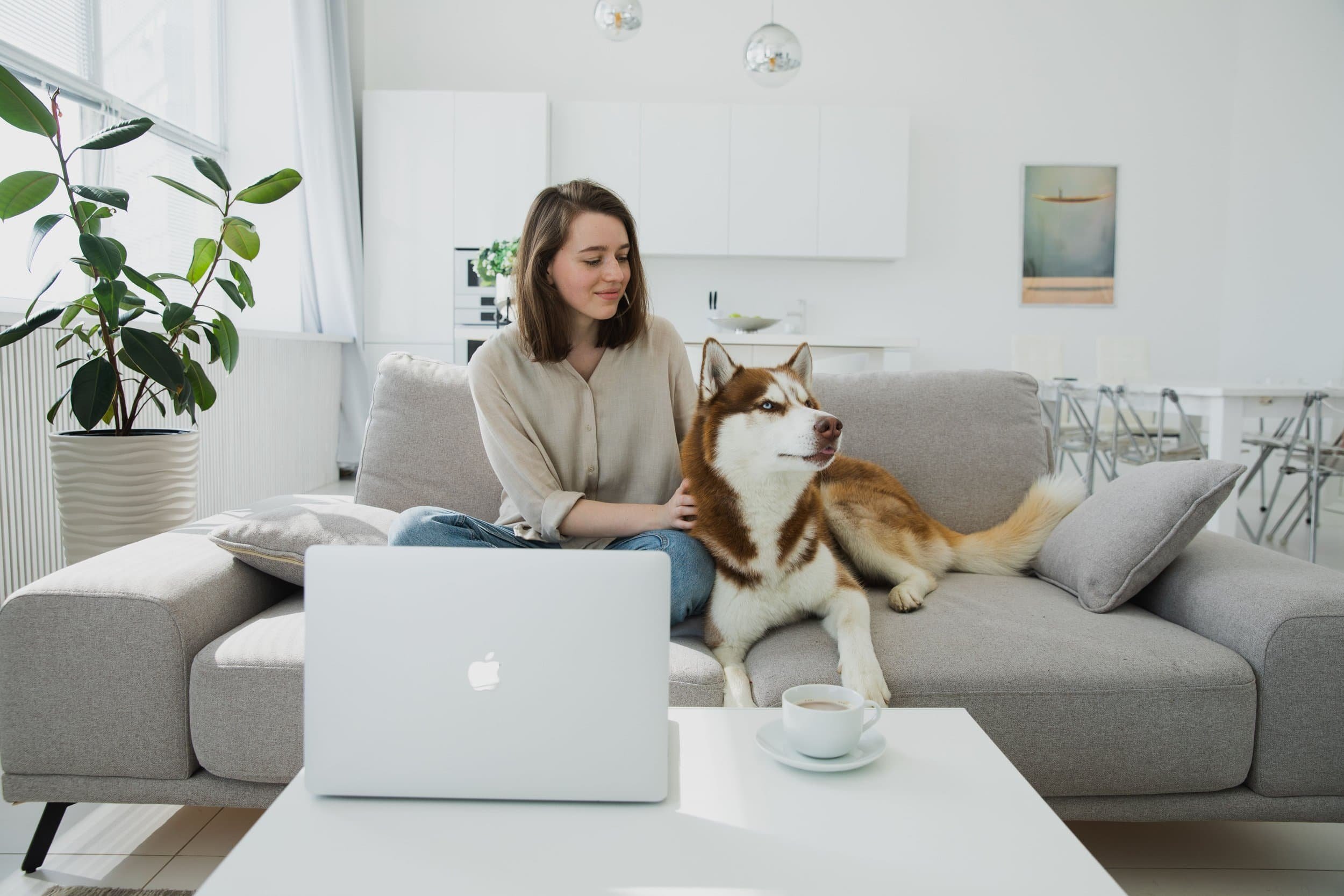 A young woman sitting on a light gray couch in a bright, modern living room with a Siberian Husky dog she is petting. There is a white coffee table with a silver laptop and a cup of coffee, a large potted plant, and a laptop in the foreground. The background shows white kitchen cabinets, a window with blinds, and minimalist artwork on the wall.