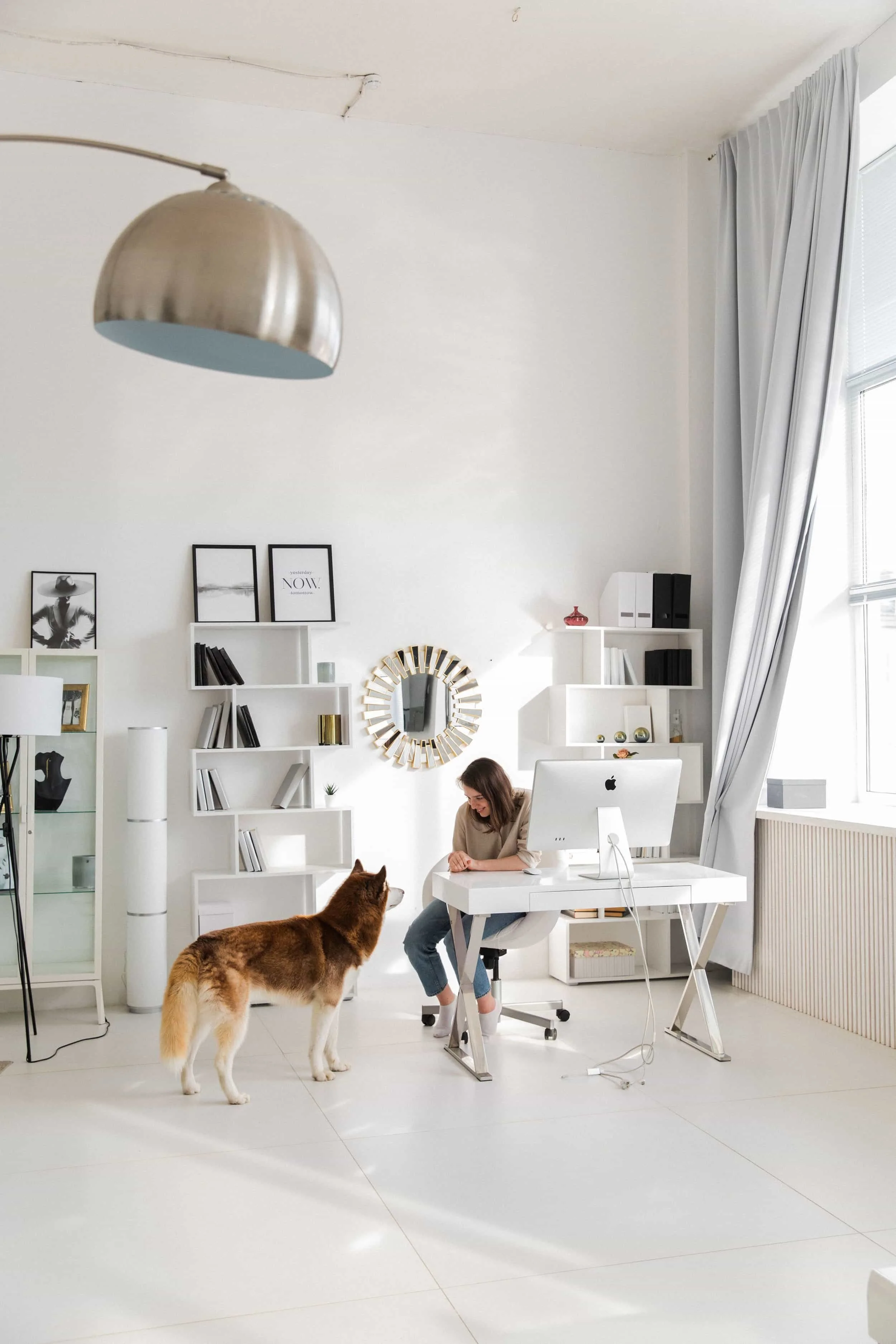 A pet business owner sitting at a white desk with an iMac computer, a dog standing in front of her, and a bright, minimalist home office interior with white shelves, picture frames, and large windows with curtains.
