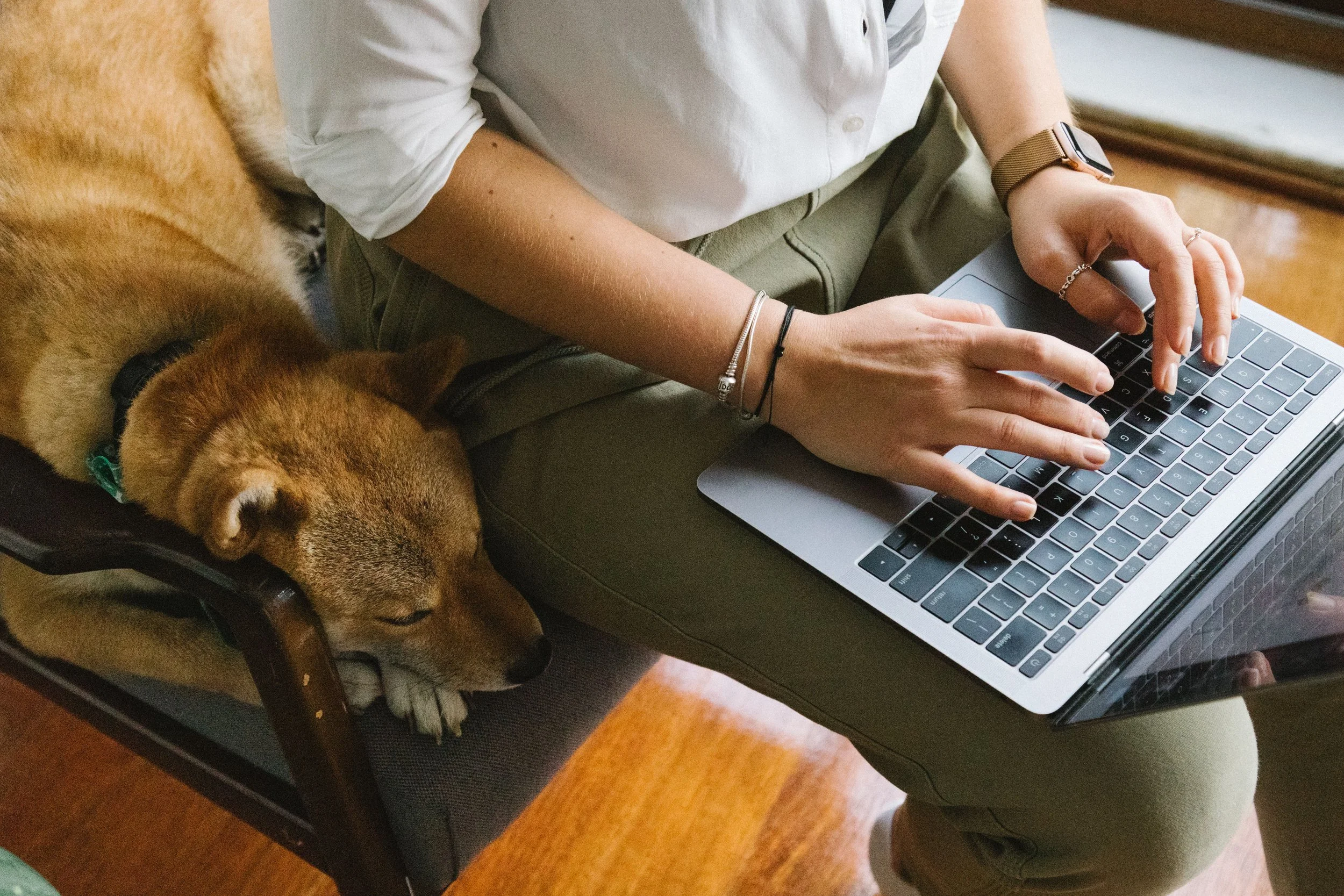 A person wearing a white shirt and a smartwatch is typing on a laptop keyboard, sitting next to a resting dog and a cat."}
