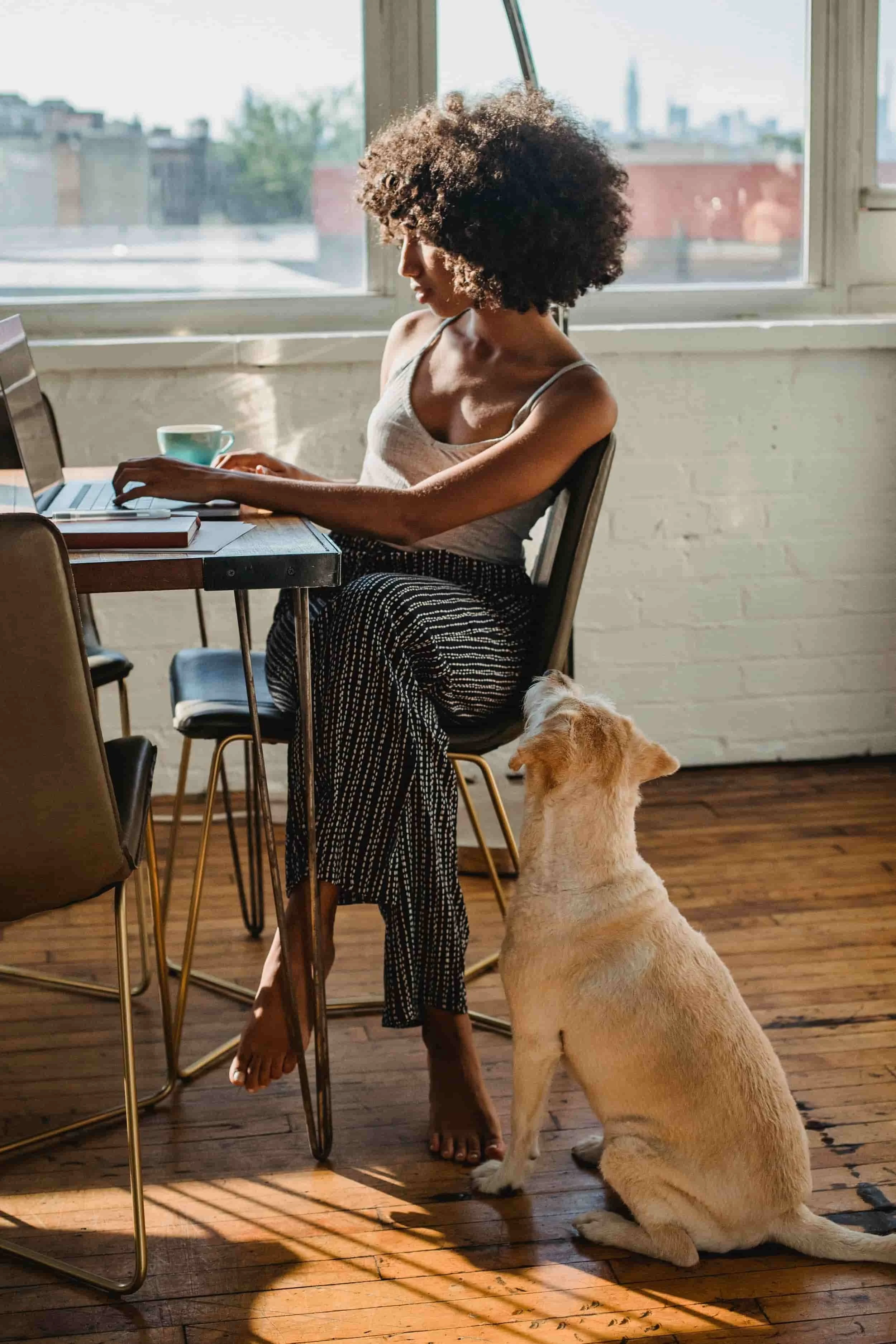 A woman with dark, curly hair working on a laptop at a table near a large window. A white and tan dog sits on the floor beside her, looking up at her. The room has hardwood floors and sunlight is streaming in through the window.