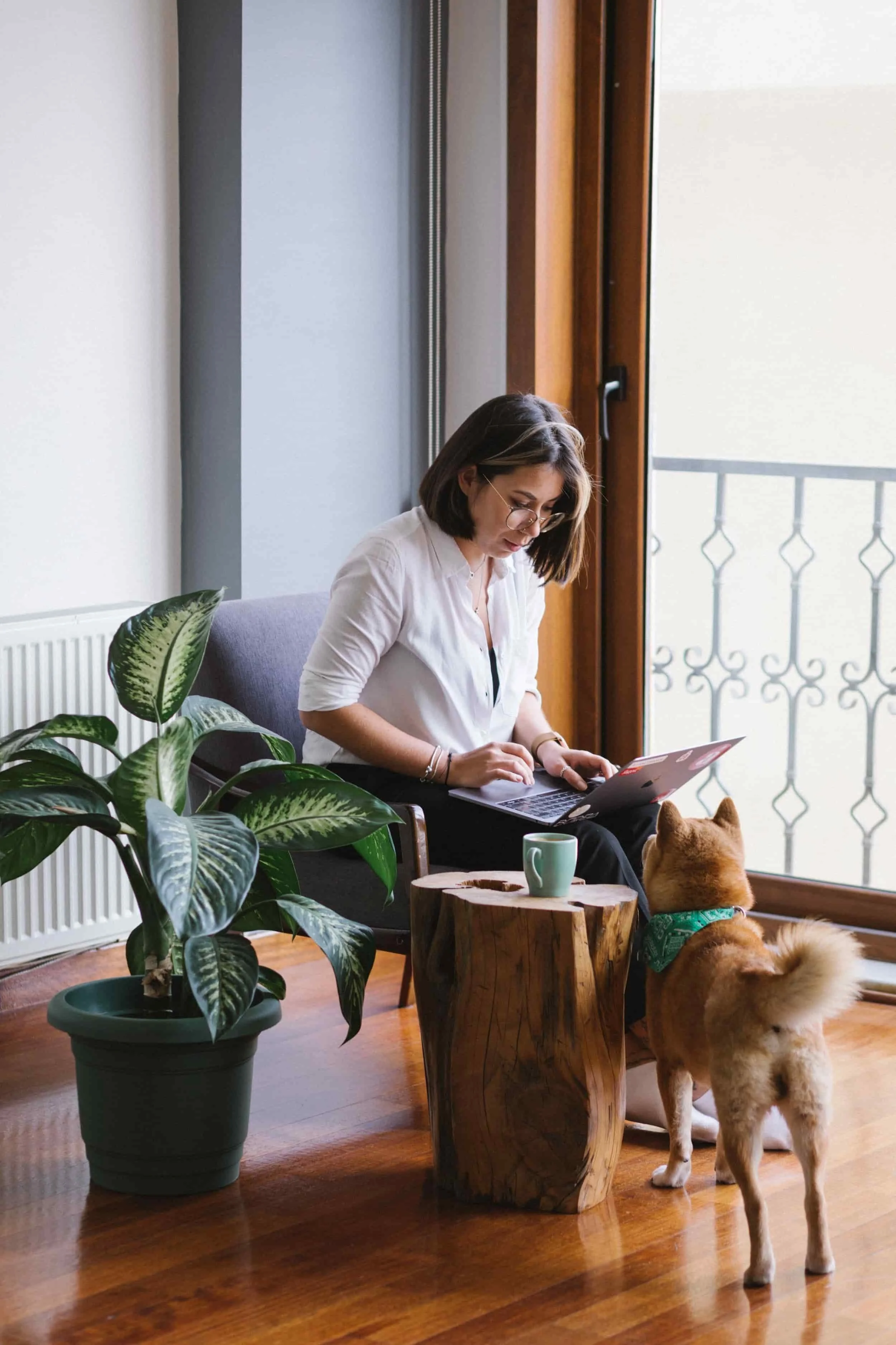 A woman with glasses and a white shirt is sitting on a couch working on her laptop. A dog, with a green bandana, stands nearby looking up at her. There are indoor plants, a window with a balcony, and wooden furniture in the room.