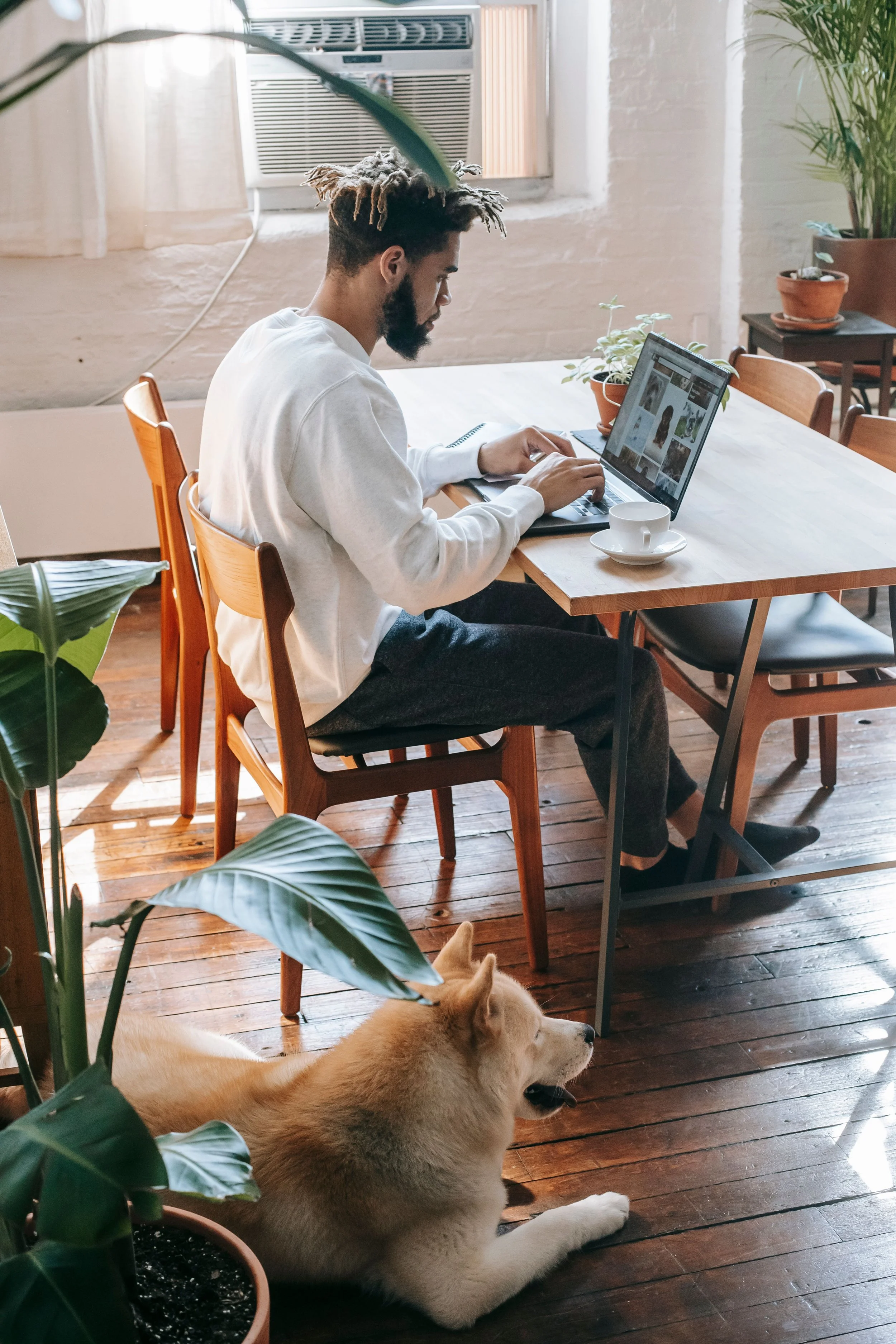 A man with dreadlocks and a beard working on a laptop at a wooden table in a cozy indoor setting, with a dog lying on the wooden floor near him, and plants on the table and around the room.