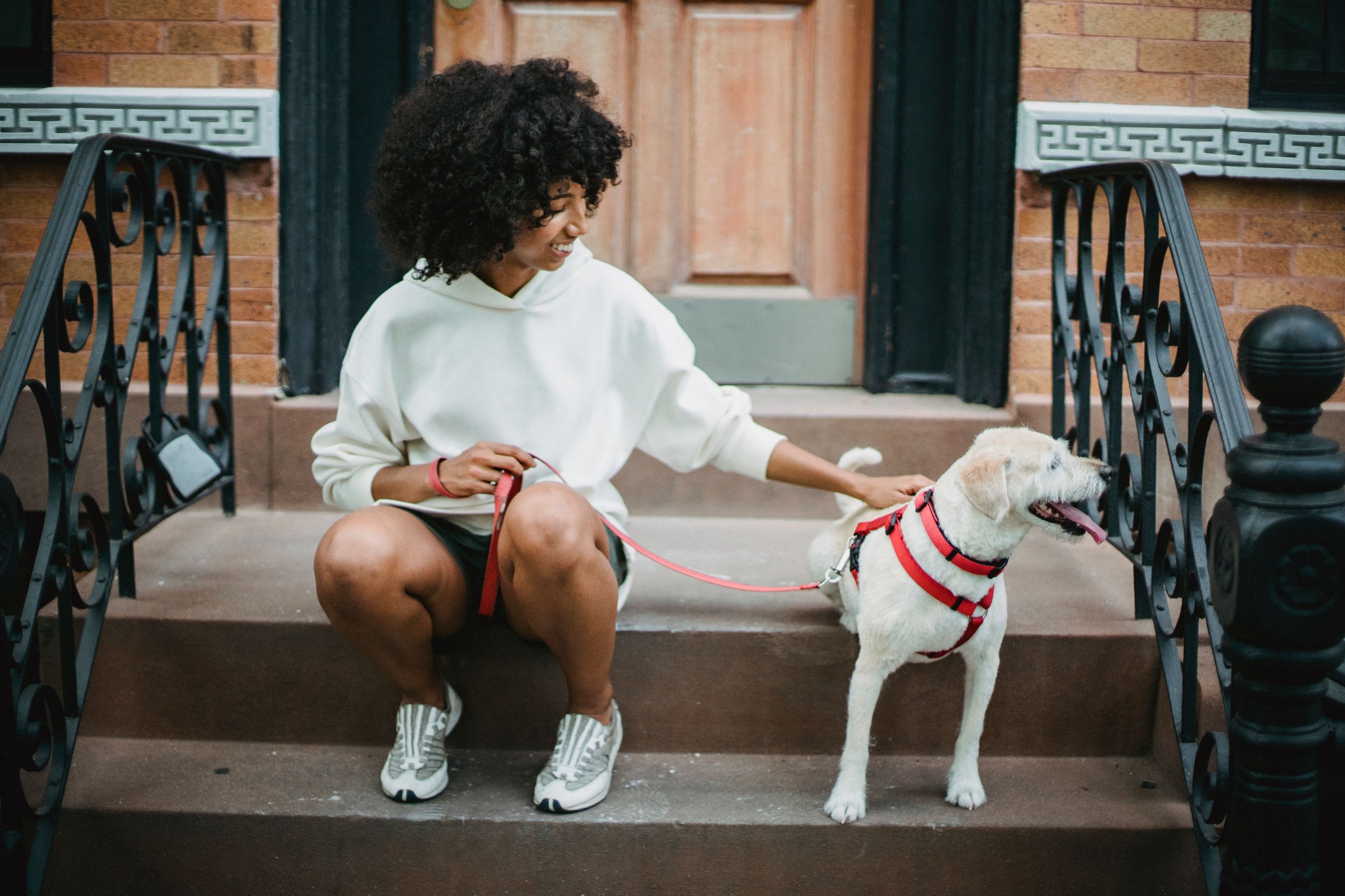 A young woman with curly hair sitting on front steps of a brick building, smiling and petting a white dog in a red harness.