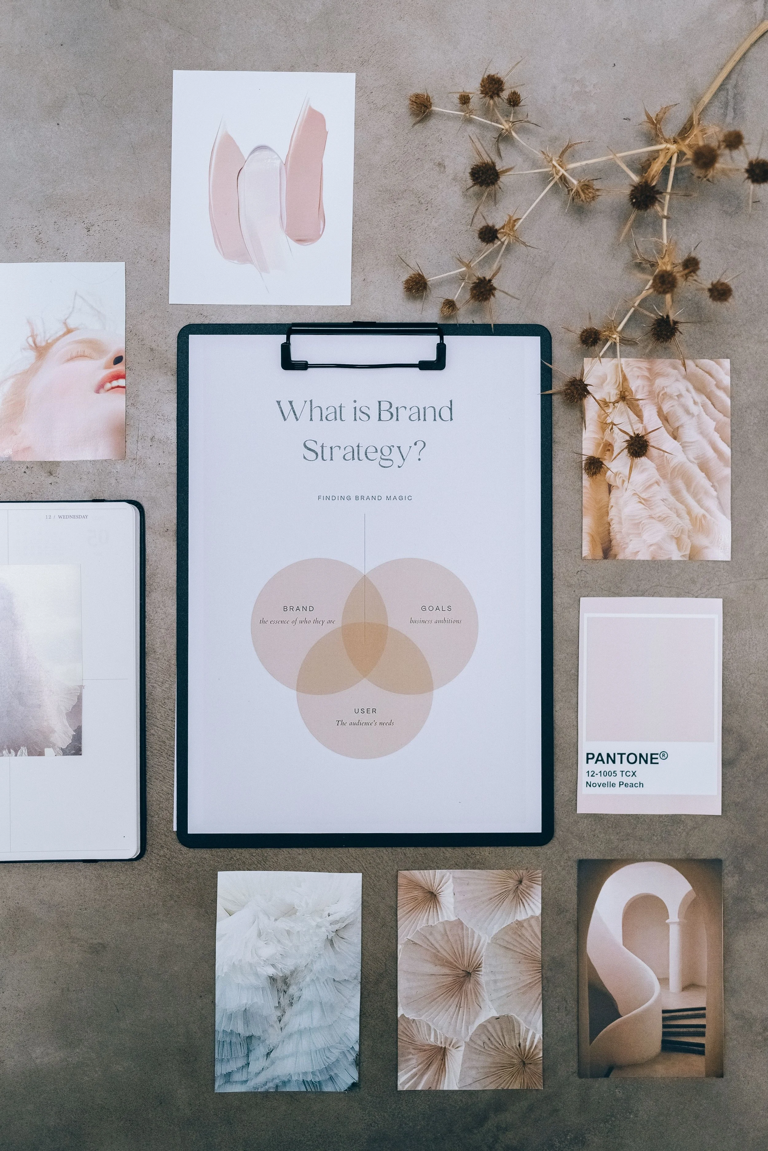 Flat lay of branding materials including a paper on brand strategy, color swatches, photographs, and dried plants on a gray surface.
