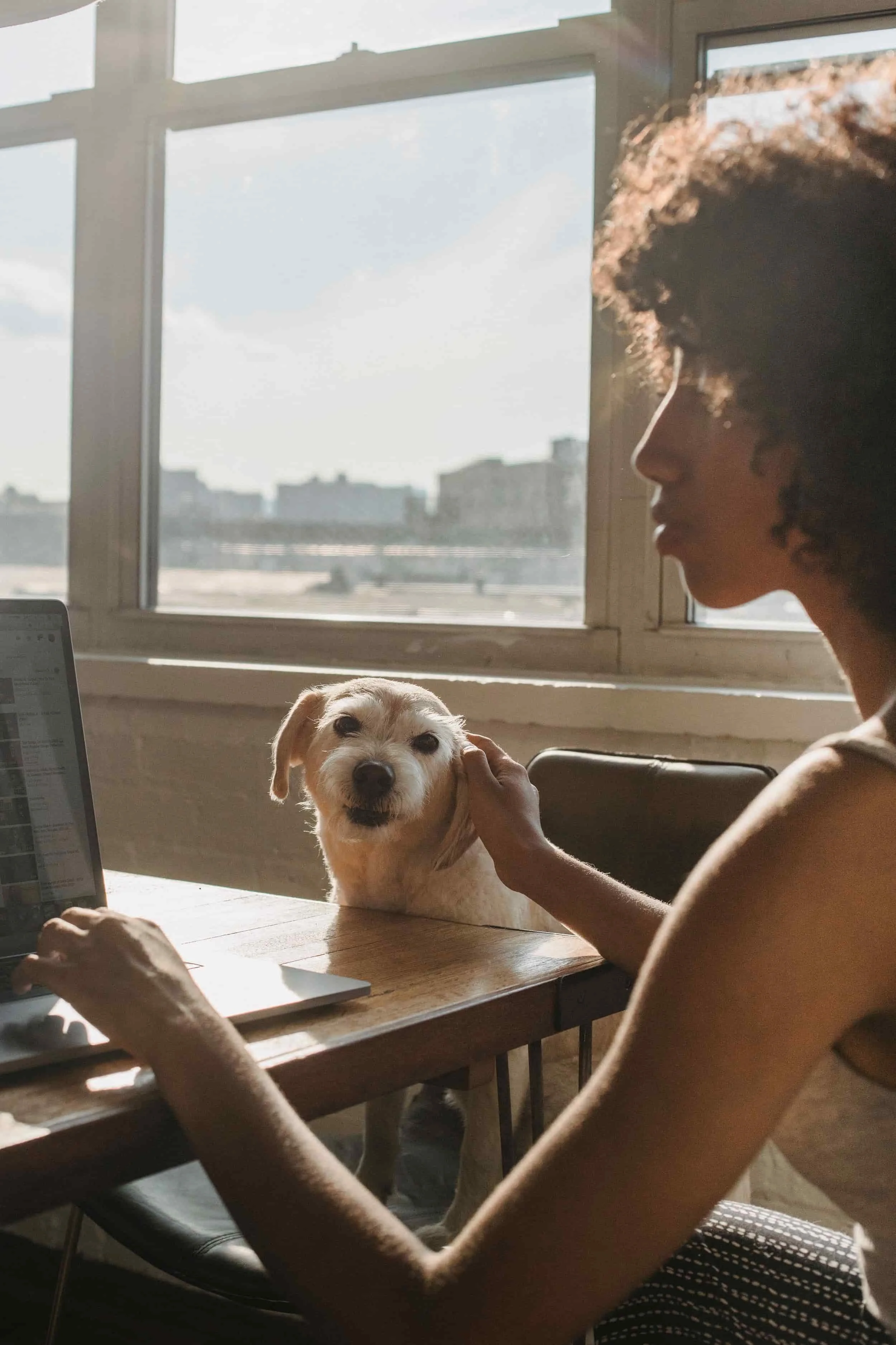 A woman with curly hair sitting at a table with a notebook and a laptop, holding a small happy dog with light-colored fur, near a window showing a bright outdoors.