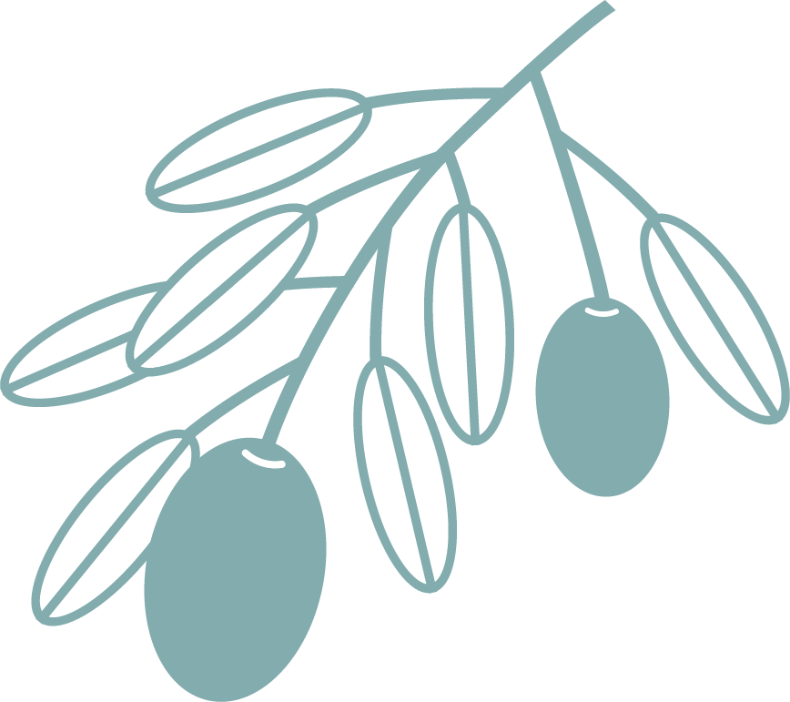 Outline drawing of an olive branch with three olives and elongated leaves.