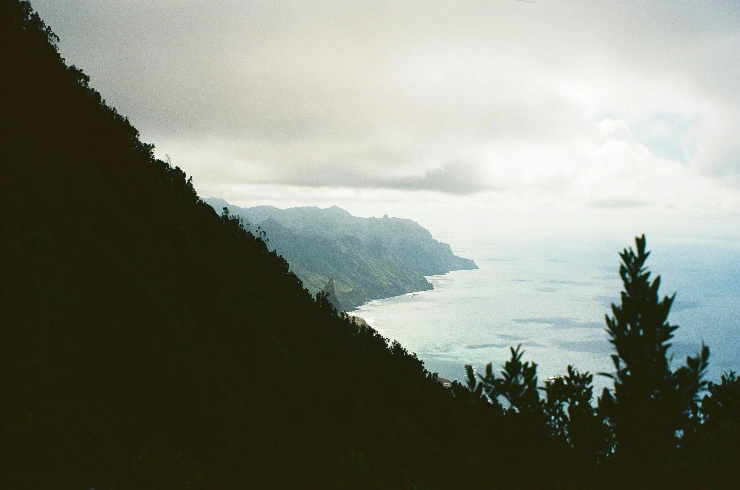 illia-stebelski-mABEtbLG7Wc-unsplash.jpg
