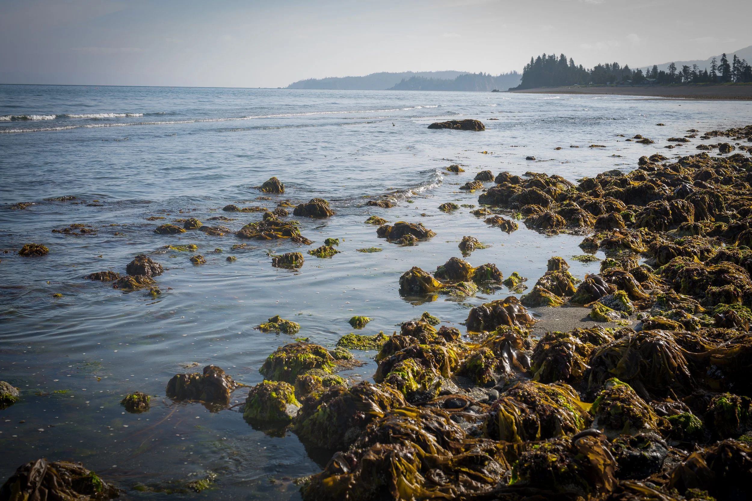 BetweenBeaches-36.jpg