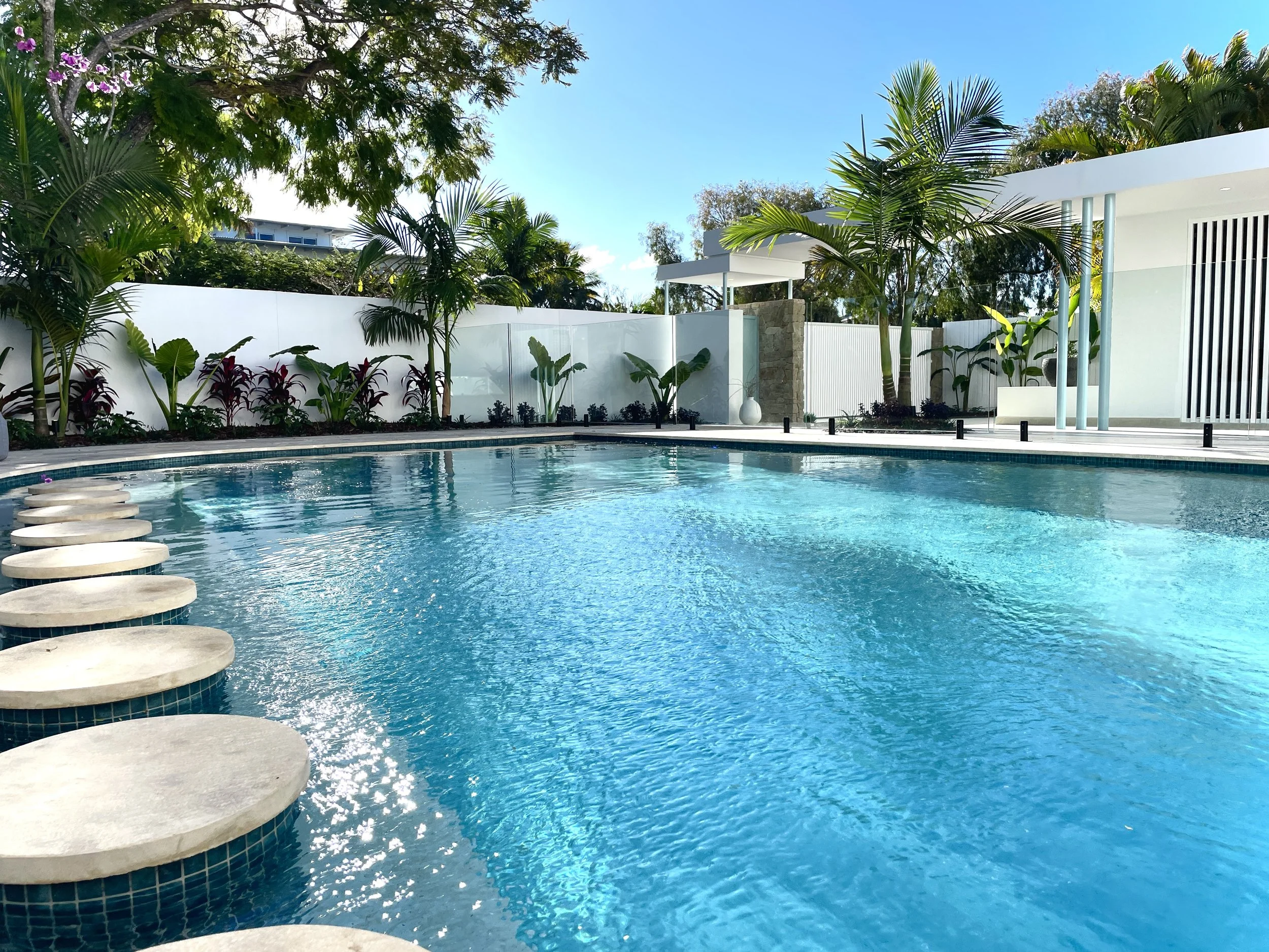Modern outdoor swimming pool surrounded by lush green tropical plants and trees, sets the tone for the Noosa Heads award winning project.