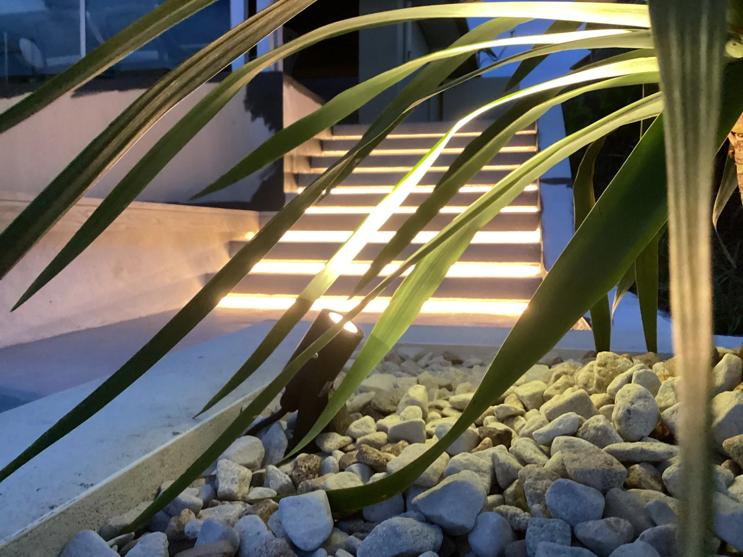 Outdoor landscape lighting Wurtulla Queensland project