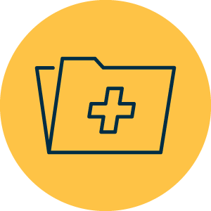 HEDIS audits & consulting icon